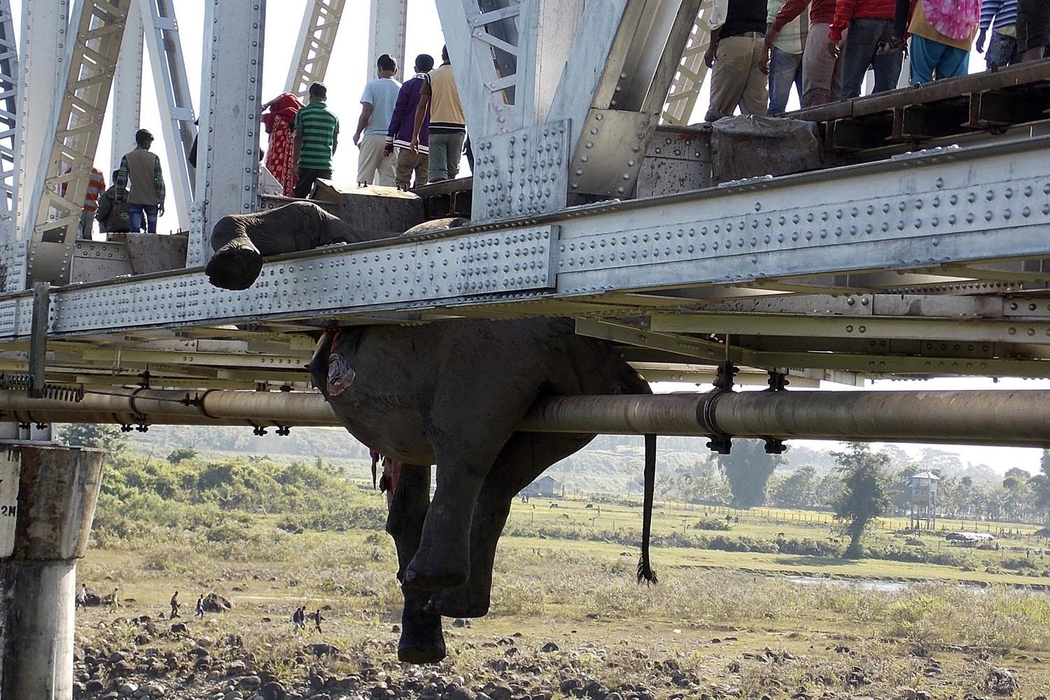 People walk past the hanging carcass of an elephant on a railway bridge in Khunia range in Jalpaiguri