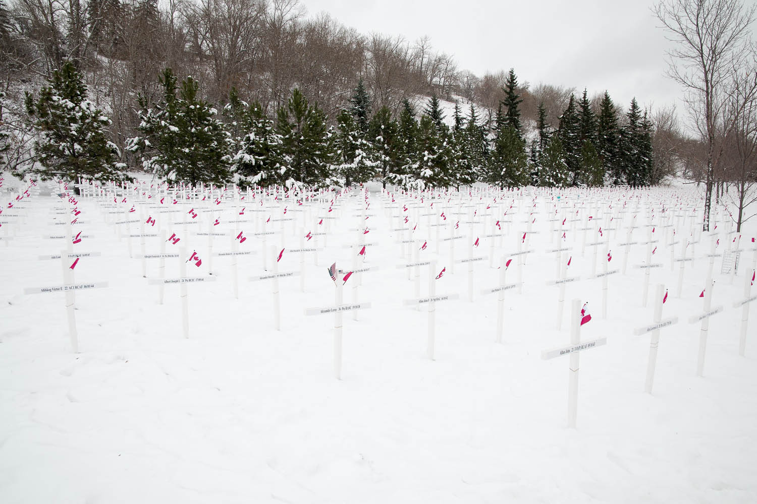 Alberta: Field Of Crosses honours 3.000 soldiers killed in action
