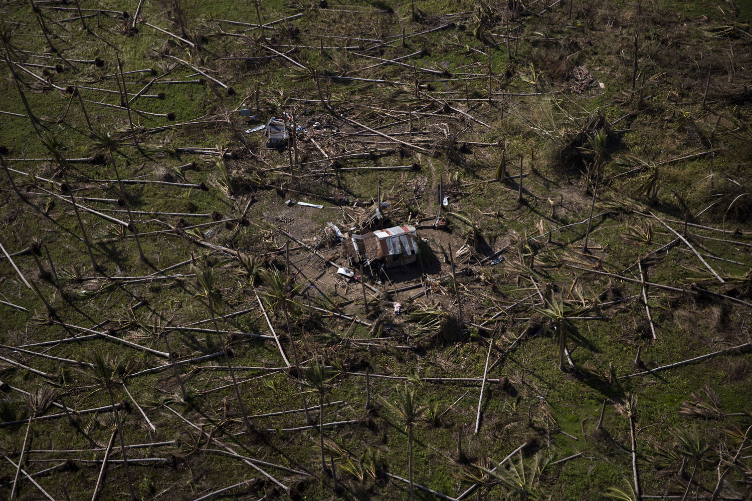 An aerial view of the countryside near Tacloban, Nov. 18, 2013.