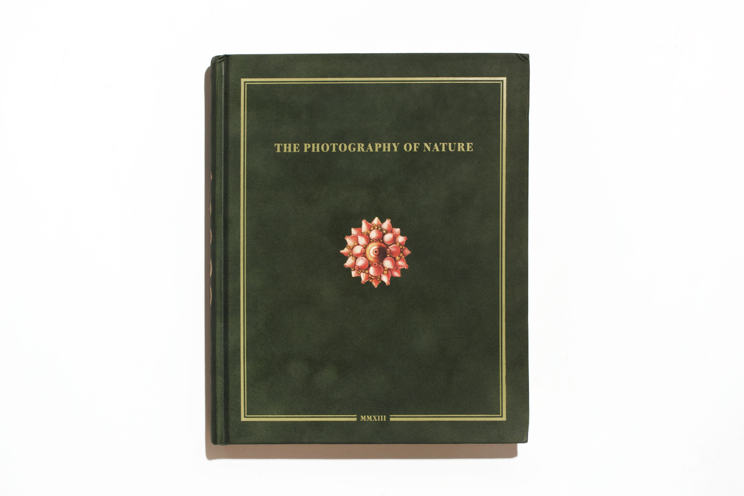 The Photography of Nature &amp; The Nature of Photography by Joan Fontcuberta, published by MACK, selected by Elisa Medde, managing editor, Foam Magazine.