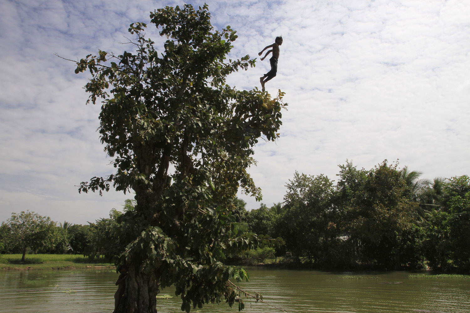 Nov. 21, 2013. A Cambodian boy jumps from a tree into a pond at a rice paddy farm on the outskirts of Phnom Penh, Cambodia,