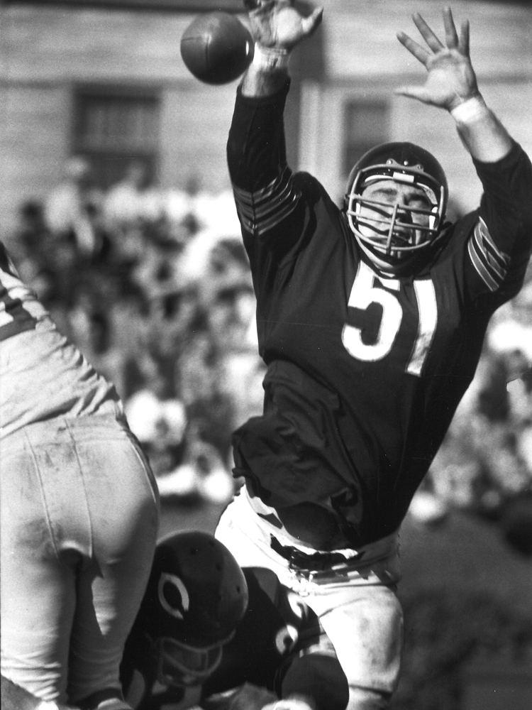 Dick Butkus in action during his rookie season with the Bears in 1965.