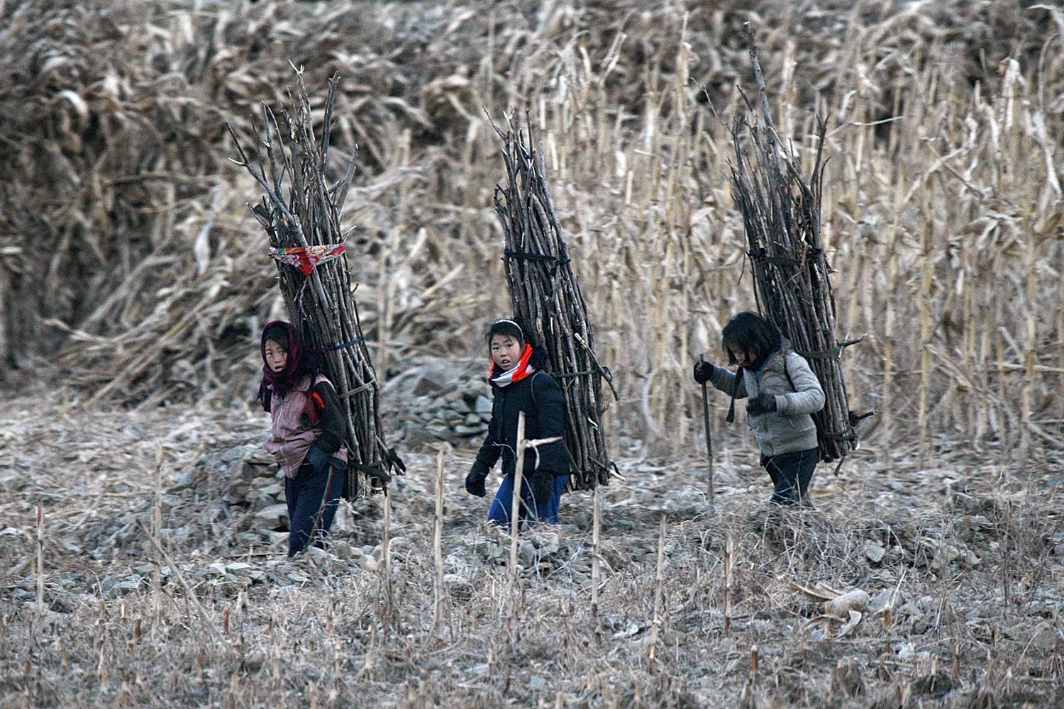 North Korean girls carry firewood as they walk on the banks of Yalu River, near the North Korean town of Sinuiju
