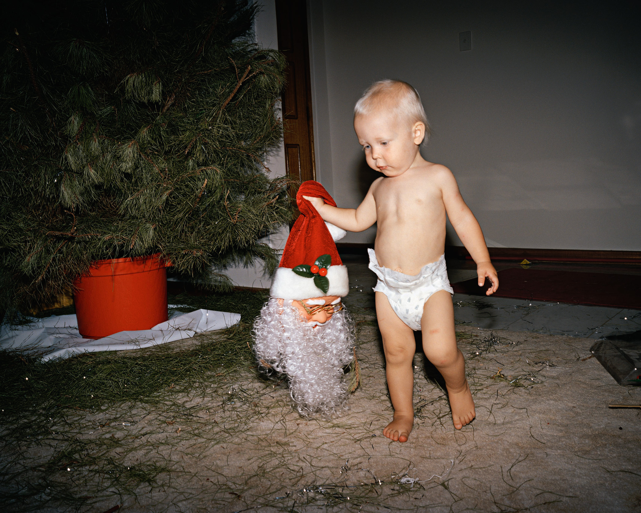 The Christmas Tree Bucket: Trent Parke's Family Album