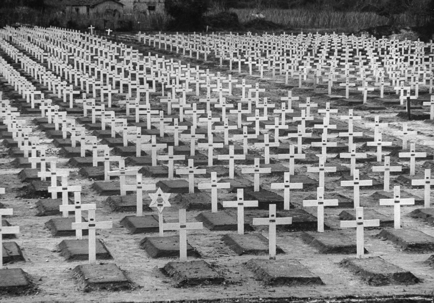 Anzio: American cemetery on the beachhead is neat and bare. Little metal tags on white crosses bear name and rank of the dead. An occasional Star of David stands among the rows of crosses placed there by U.S. Army's conscientious Graves Registration Service.