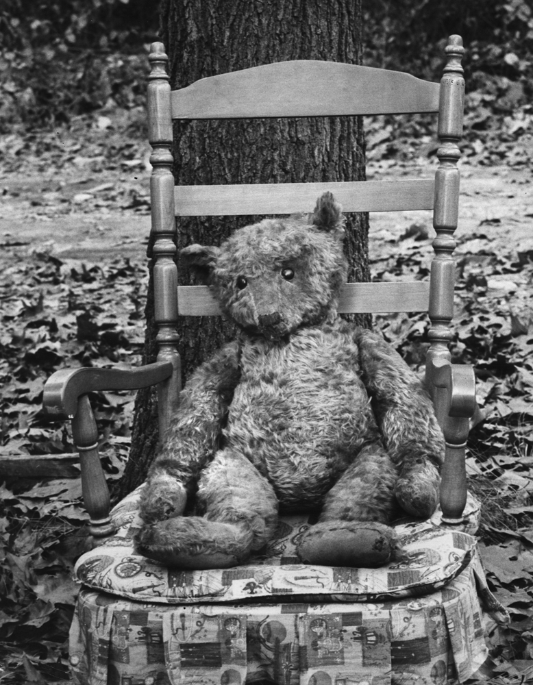 Teddy bear, age 63 (in 1970).