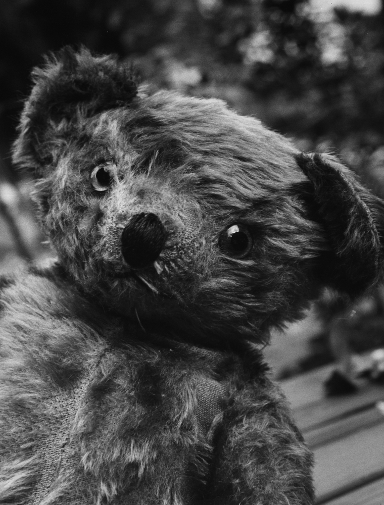 Sam, teddy bear, age 37 (in 1970).