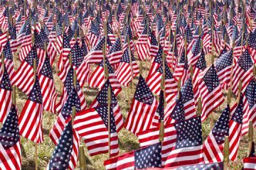 A field of American flags