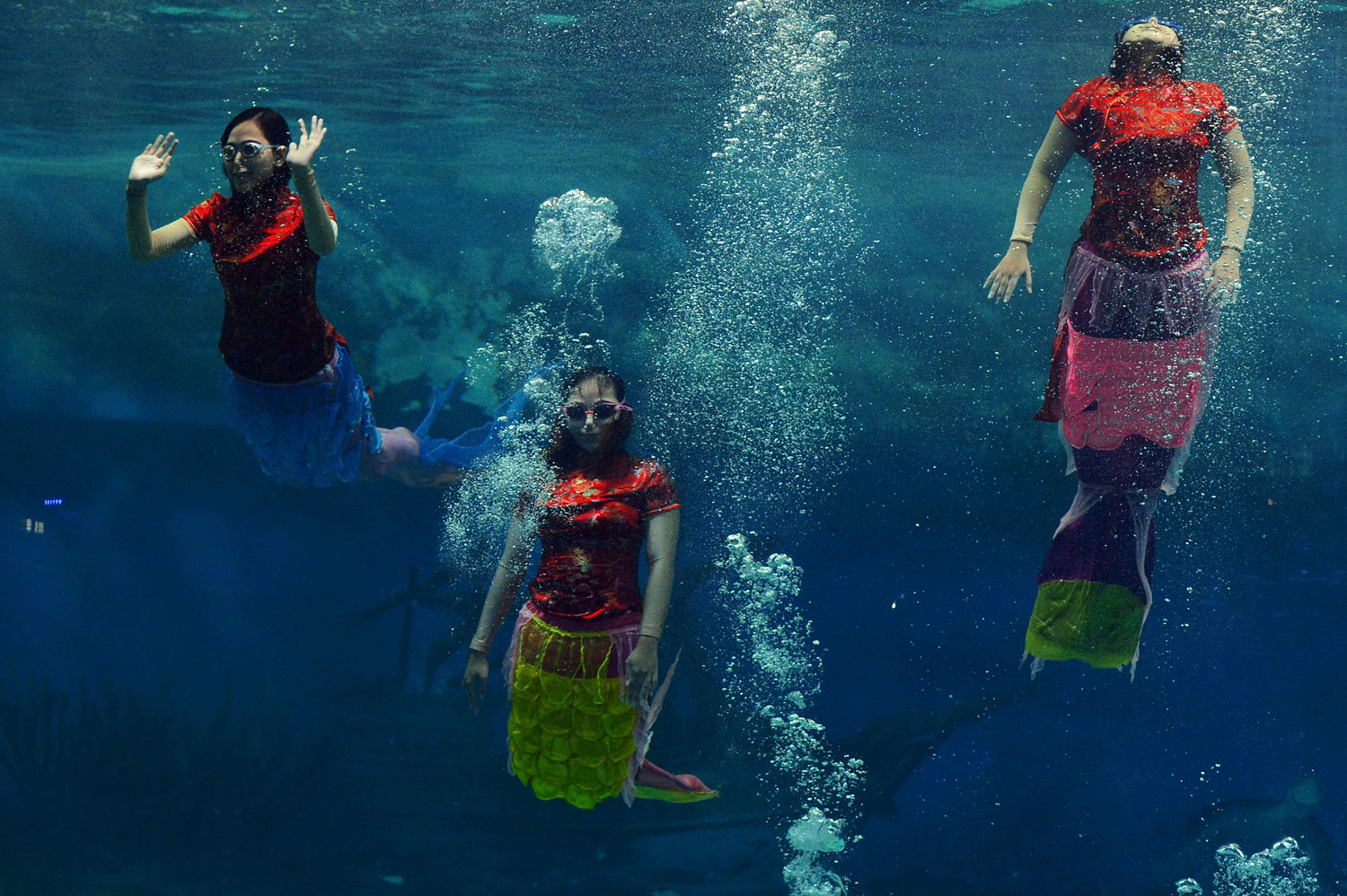 Indonesian performers dressed as mermaids wearing traditional Chinese cheongsam dress perform underwater in a special program celebrating the Lunar New Year at Jakarta's Ancol park on Jan. 31, 2014.