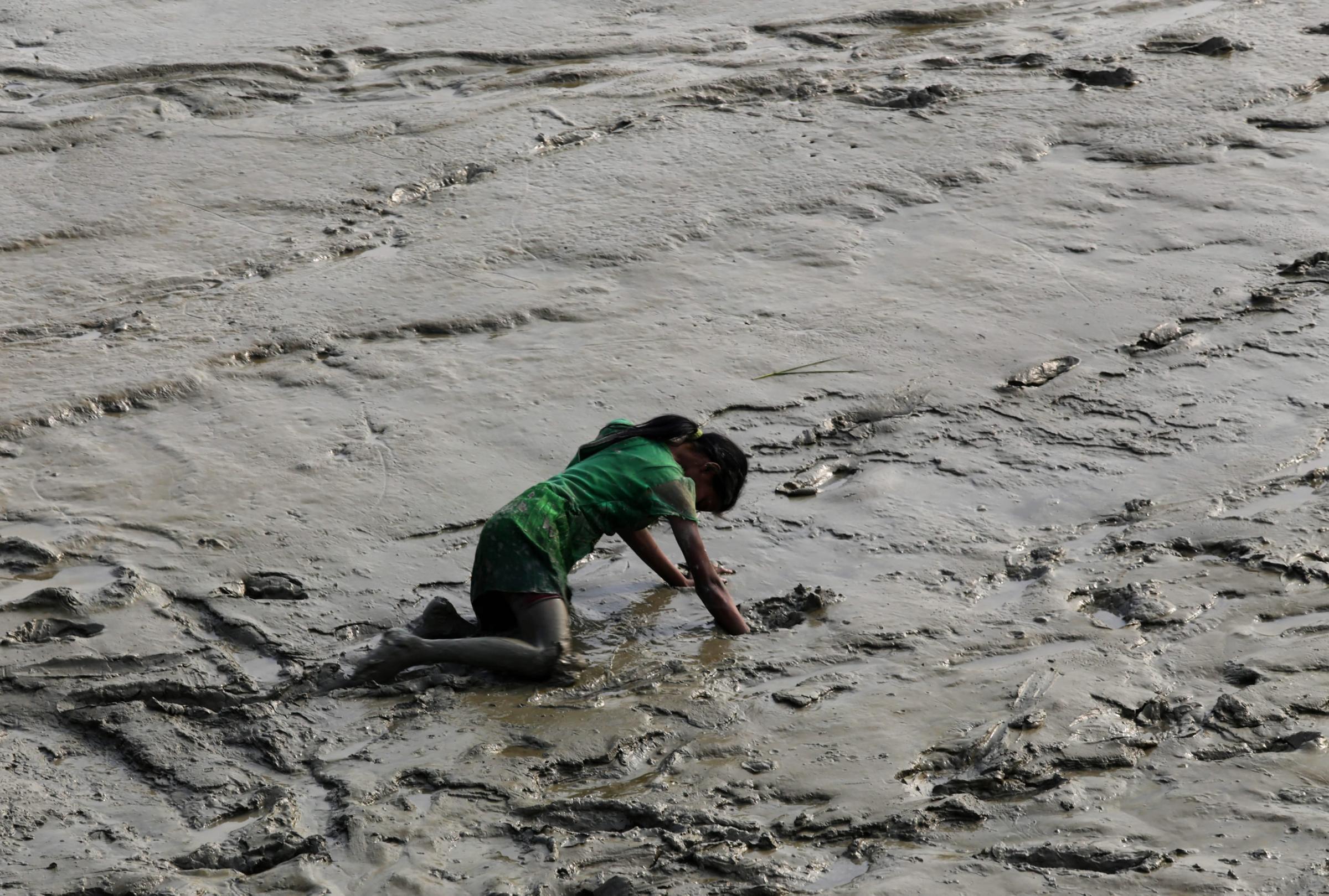 An Indian girl tries to pick up a coin in the mud of the Ganges River at Harwood point, 90 kms south of Calcutta, eastern India, Jan. 12, 2014. Coins were offered by pilgrims on their way to take a holy dip at Gangasagar for the upcoming Gangasagar annual fair.