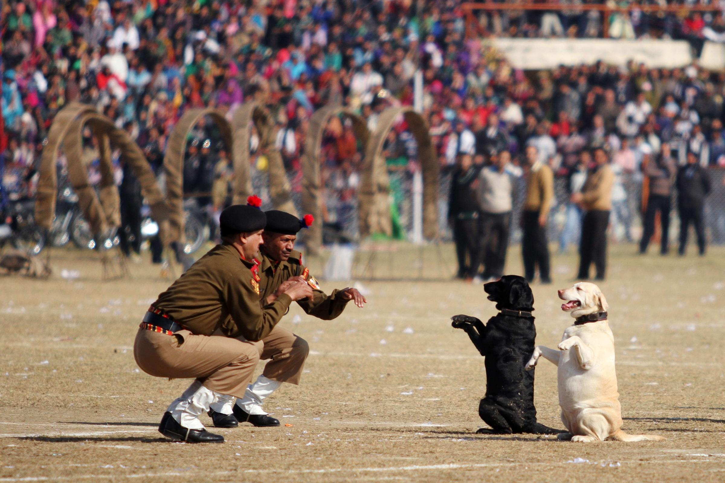 Indian Border Security Force dog squad personnel take part in a march during Republic Day celebrations in Jammu, India, Jan. 26, 2014.