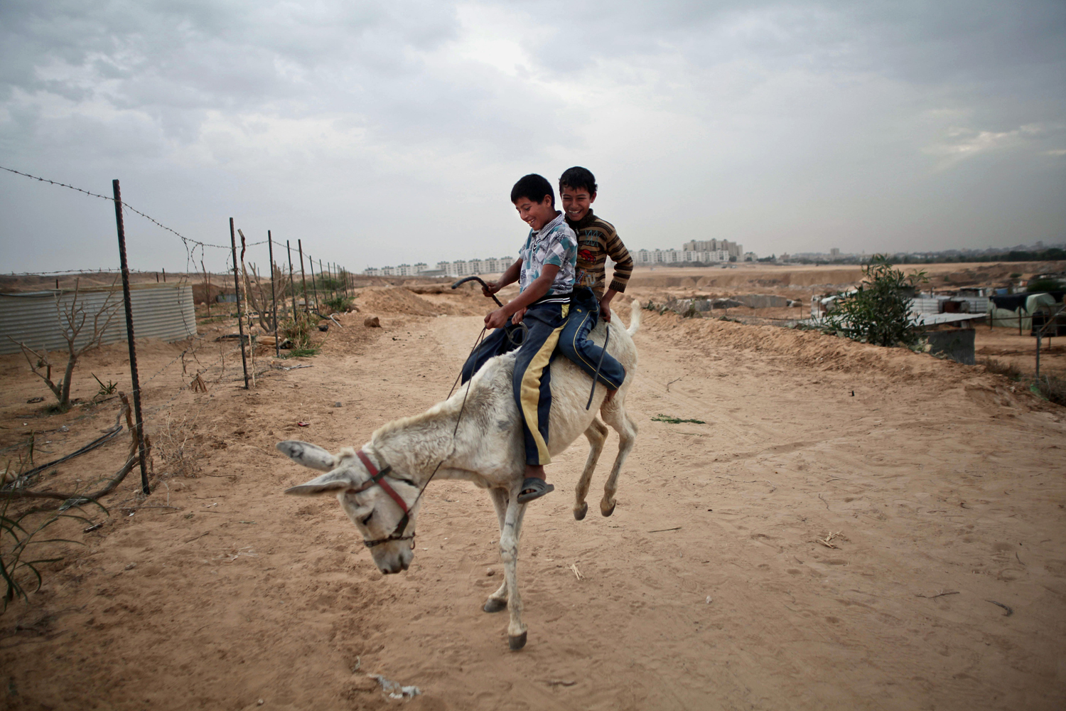 THE DAILY LIFE AT THE BEDOUIN VILLAGE IN GAZA STRIP