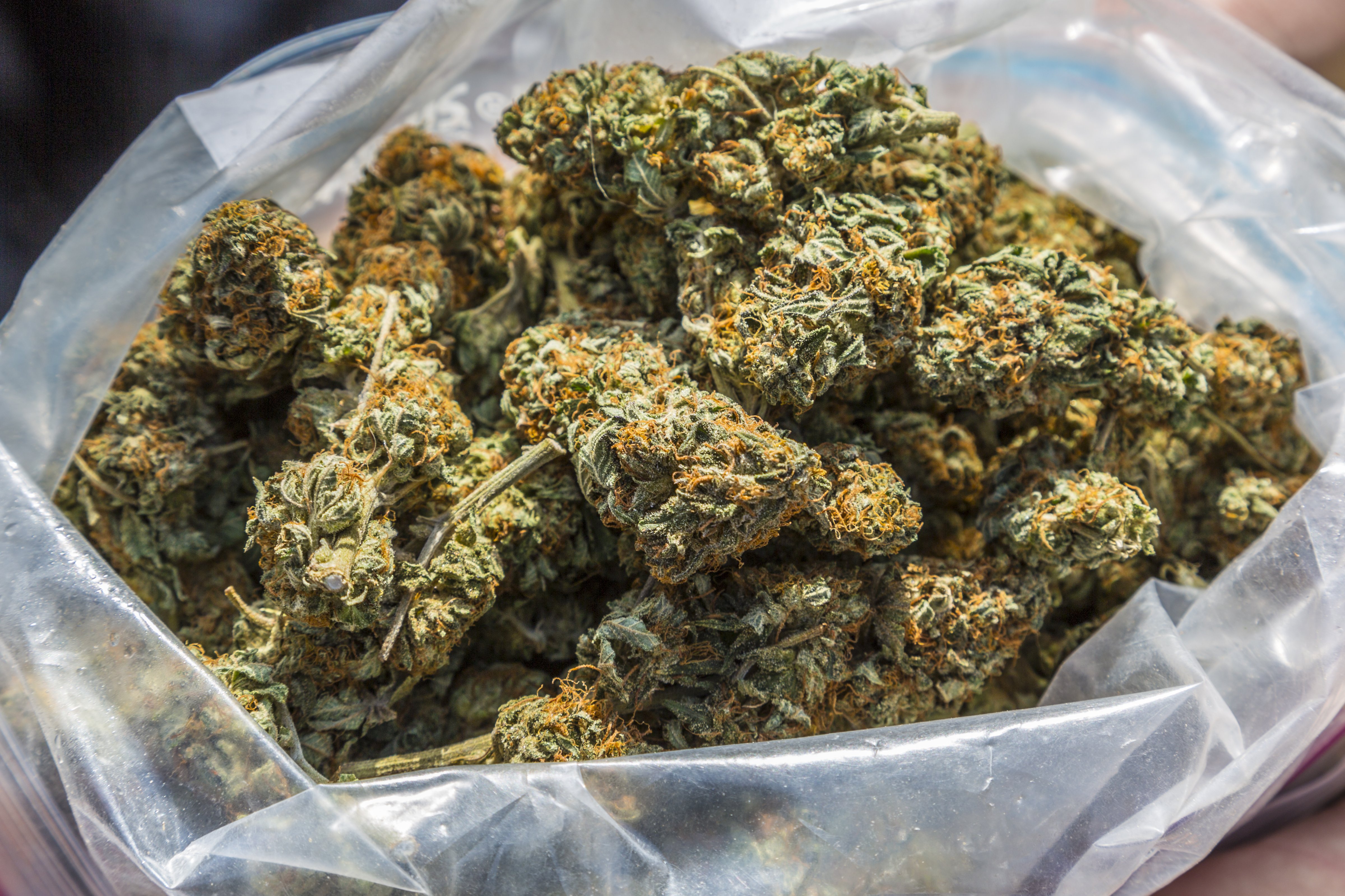 Pot Marijuana Weed