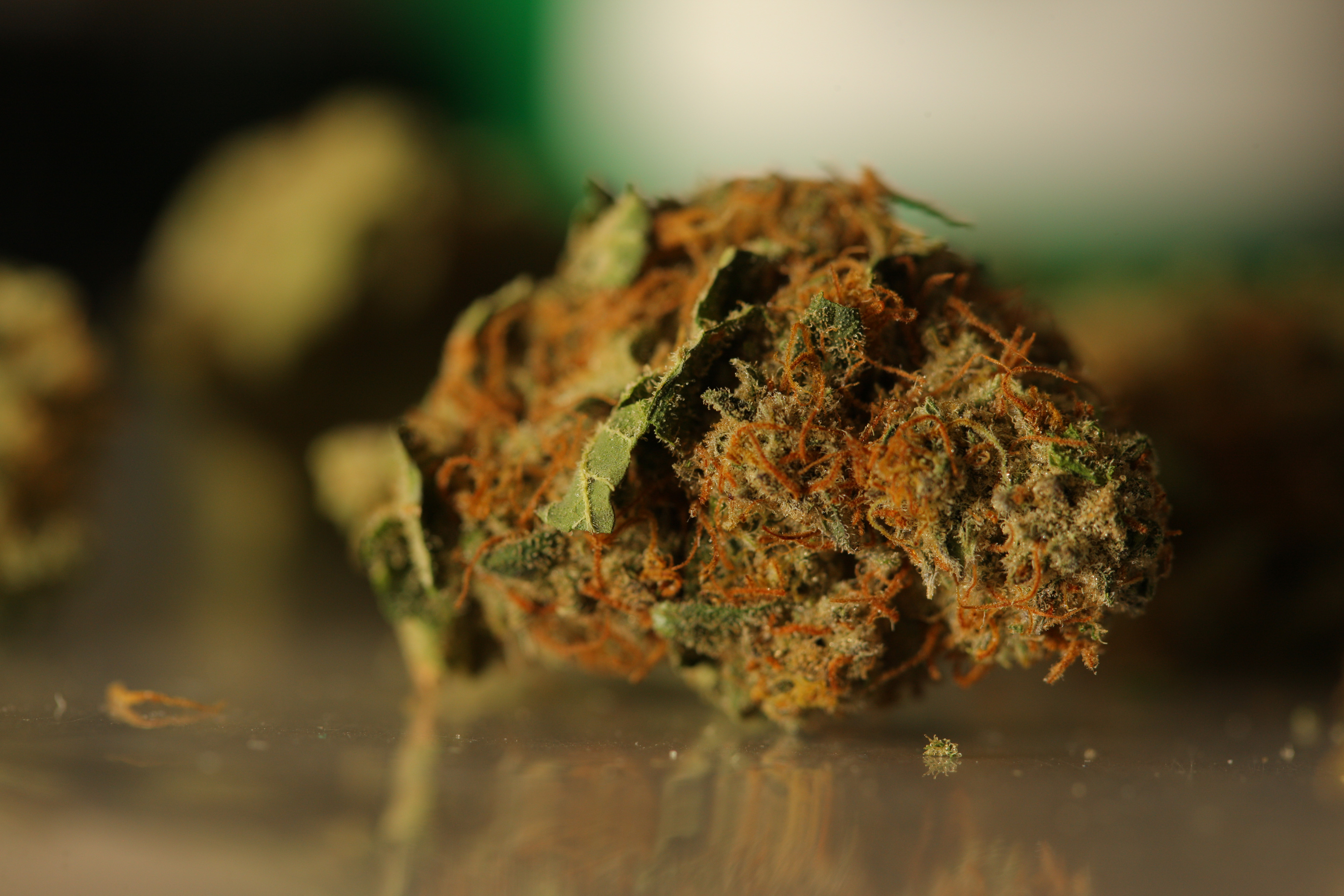 THC in marijuana triggers the olfactory senses. (Bloomberg &mdash;Getty Images)