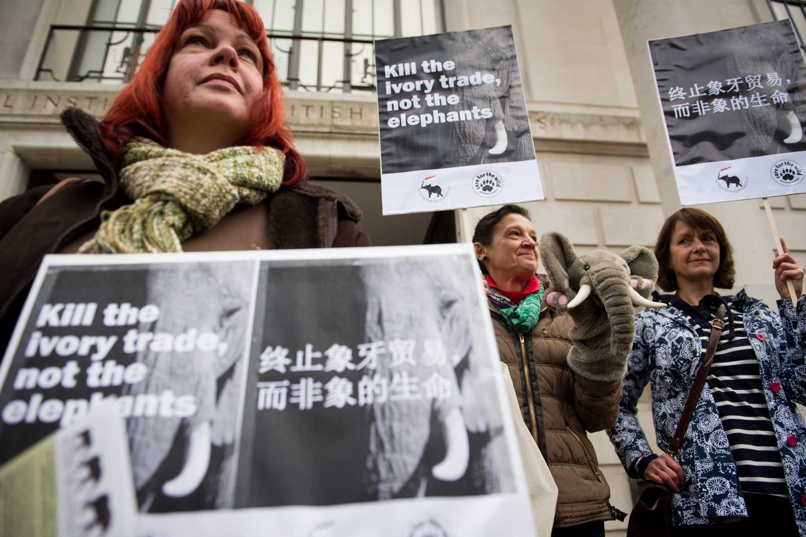 A protester with a banner displaying Chinese characters joins a demonstration outside the Chinese embassy in London, on Jan. 25, 2014, to call for an end to the ivory trade in China. (Leon Nea—AFP/Getty Images)