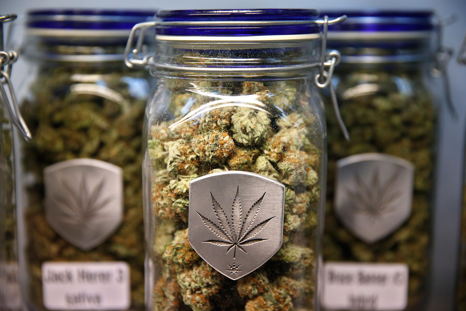 Different strains of pot are displayed for sale at Medicine Man marijuana dispensary in Denver on Dec. 27, 2013. (Brennan Linsley—AP)