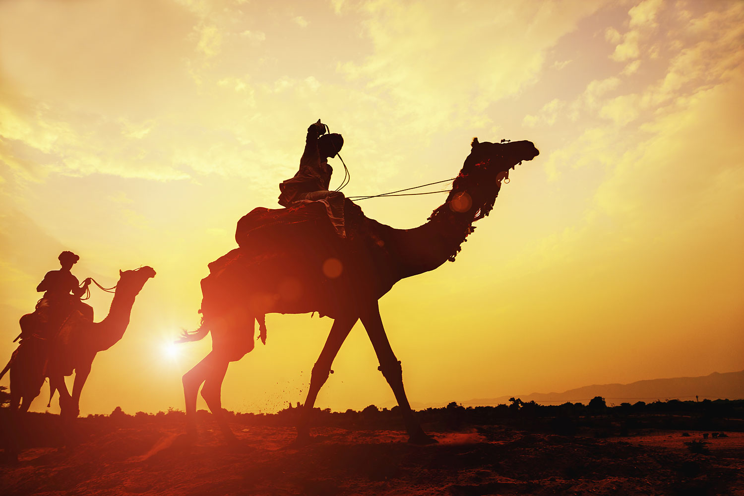 Camel Caravan (Getty Images)
