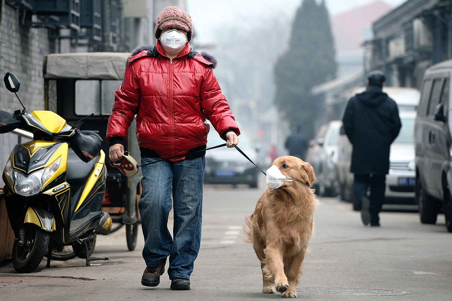 A man and his dog, both wearing masks, walk along a small alley on a hazy day in Beijing on Feb. 23, 2014 (Liu Chang / Legal Evening / Reuters)