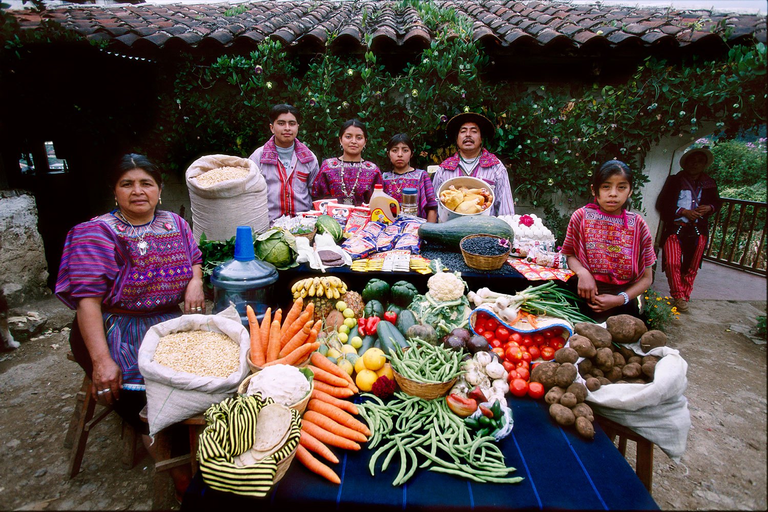 Guatemala: The Mendozas of Todos Santos - Food expenditure for one week: 573 Quetzales or $75.70. Family Recipe: Turkey Stew and Susana Perez Matias's Sheep Soup.