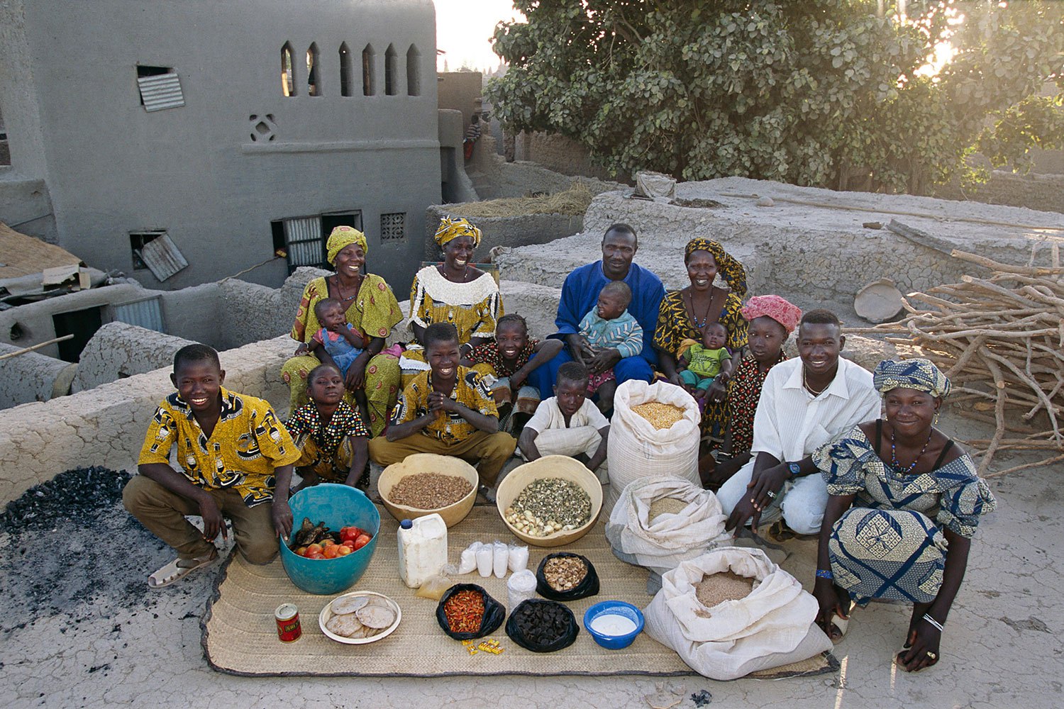 Mali: The Natomos of Kouakourou - Food expenditure for one week: 17,670 francs or $26.39. Family Recipe: Natomo Family Rice Dish.
