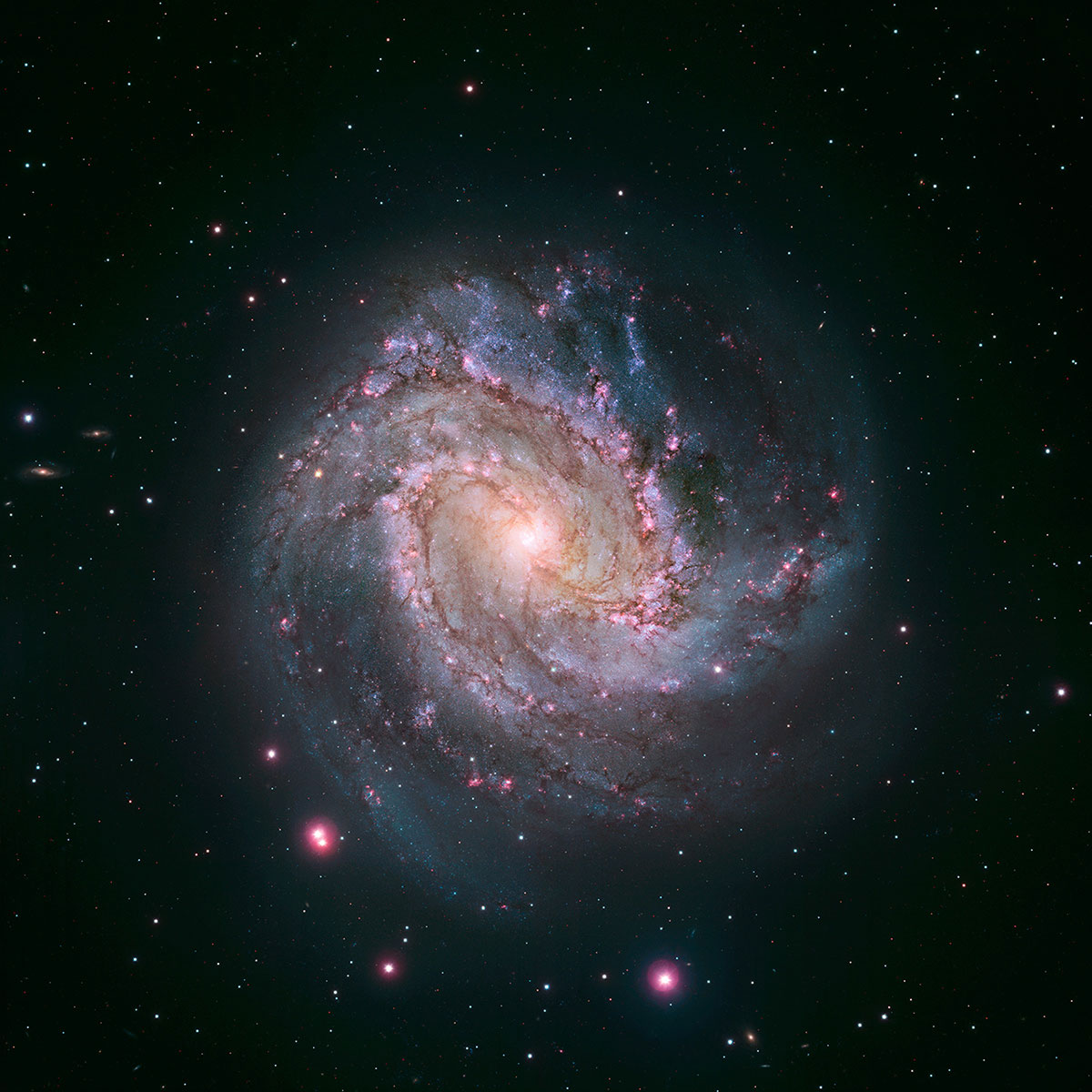 The barred spiral galaxy M83, also known as the Southern Pinwheel, is seen in a NASA Hubble Space Telescope mosaic released Jan. 9, 2014.