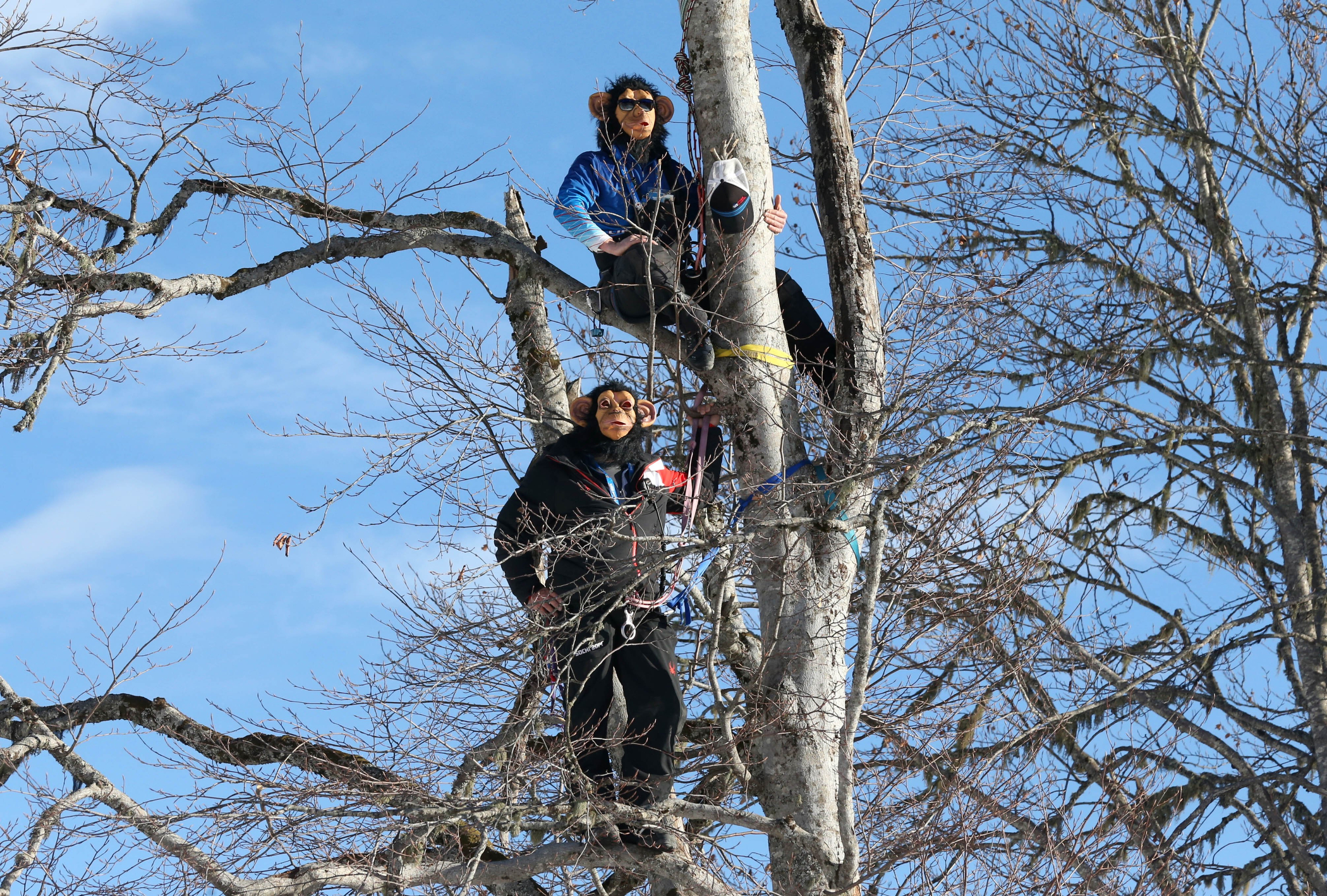 Coaches from the U.S., top, and Canada wear chimpanzee masks from their perch in a tree to watch the downhill portion of the men's supercombined at the Sochi 2014 Winter Olympics, Friday, Feb. 14, 2014, in Krasnaya Polyana, Russia.
