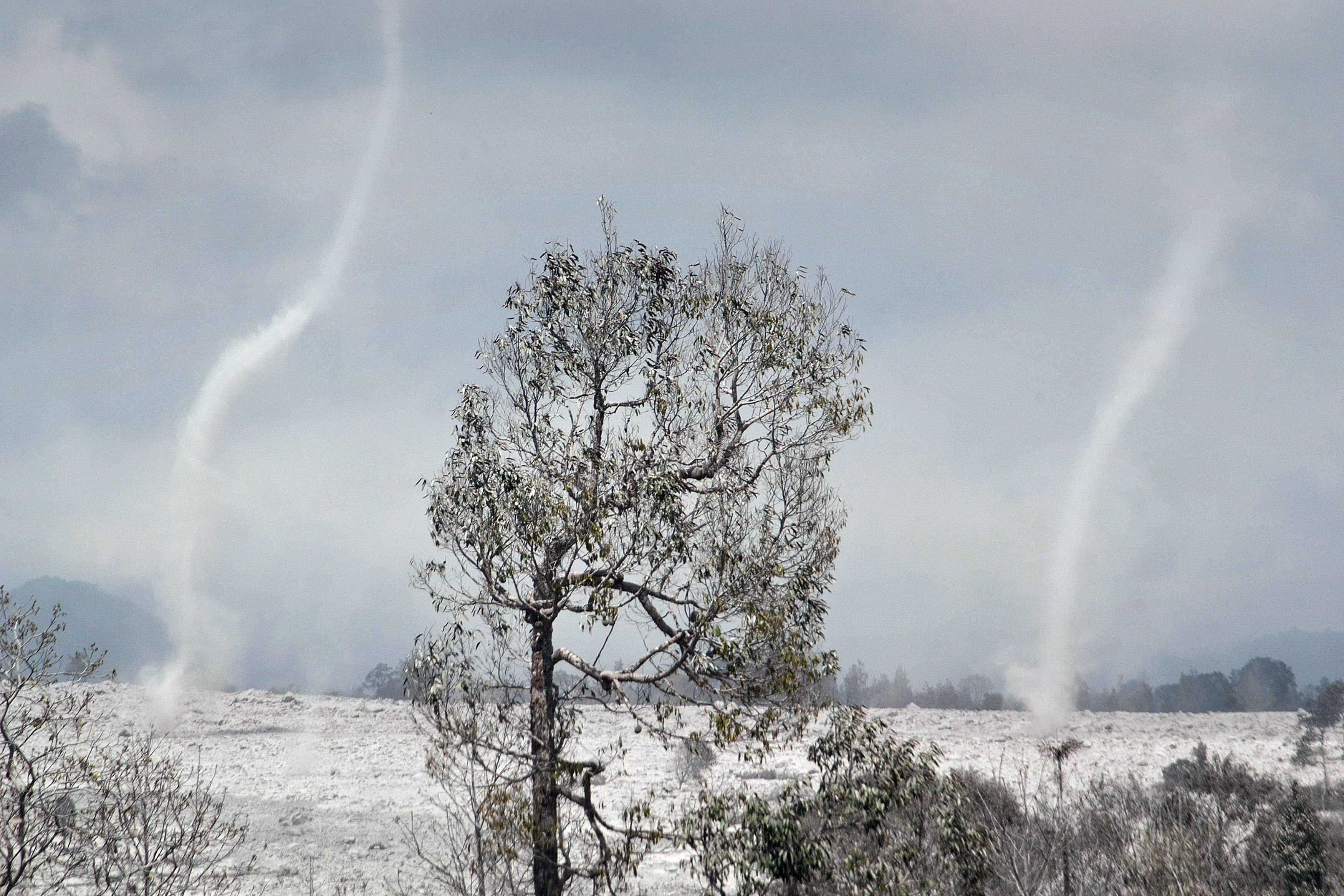 Wind spouts (L and R) appear over the volcanic ash covered landscape in Berastepu village, in the district of Karo near the Mount Sinabung volcano in Indonesia Jan. 26, 2014.