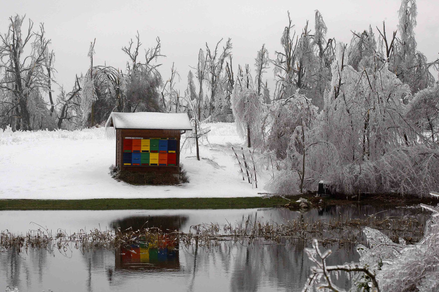 Feb. 4, 2014. Bee hives are seen surrounded by ice-covered broken trees in Rakitnik, Slovenia.