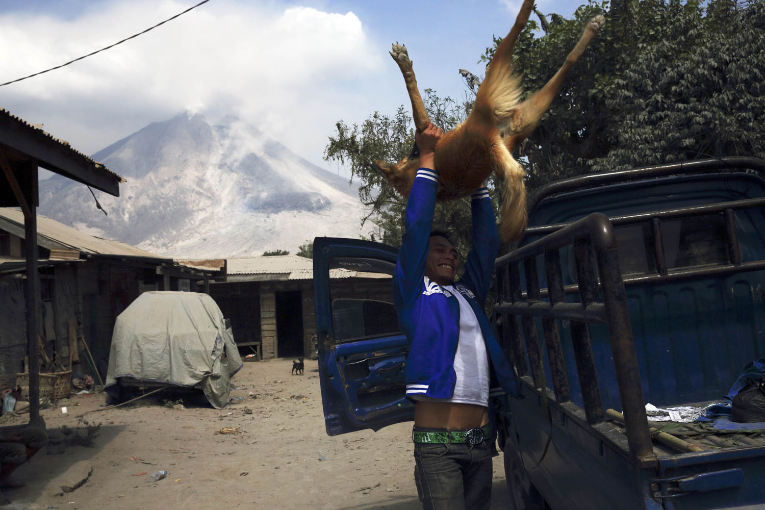 A villager lifts his dog onto a truck to evacuate as Mount Sinabung spews ash at Pintu Besi village in Karo district