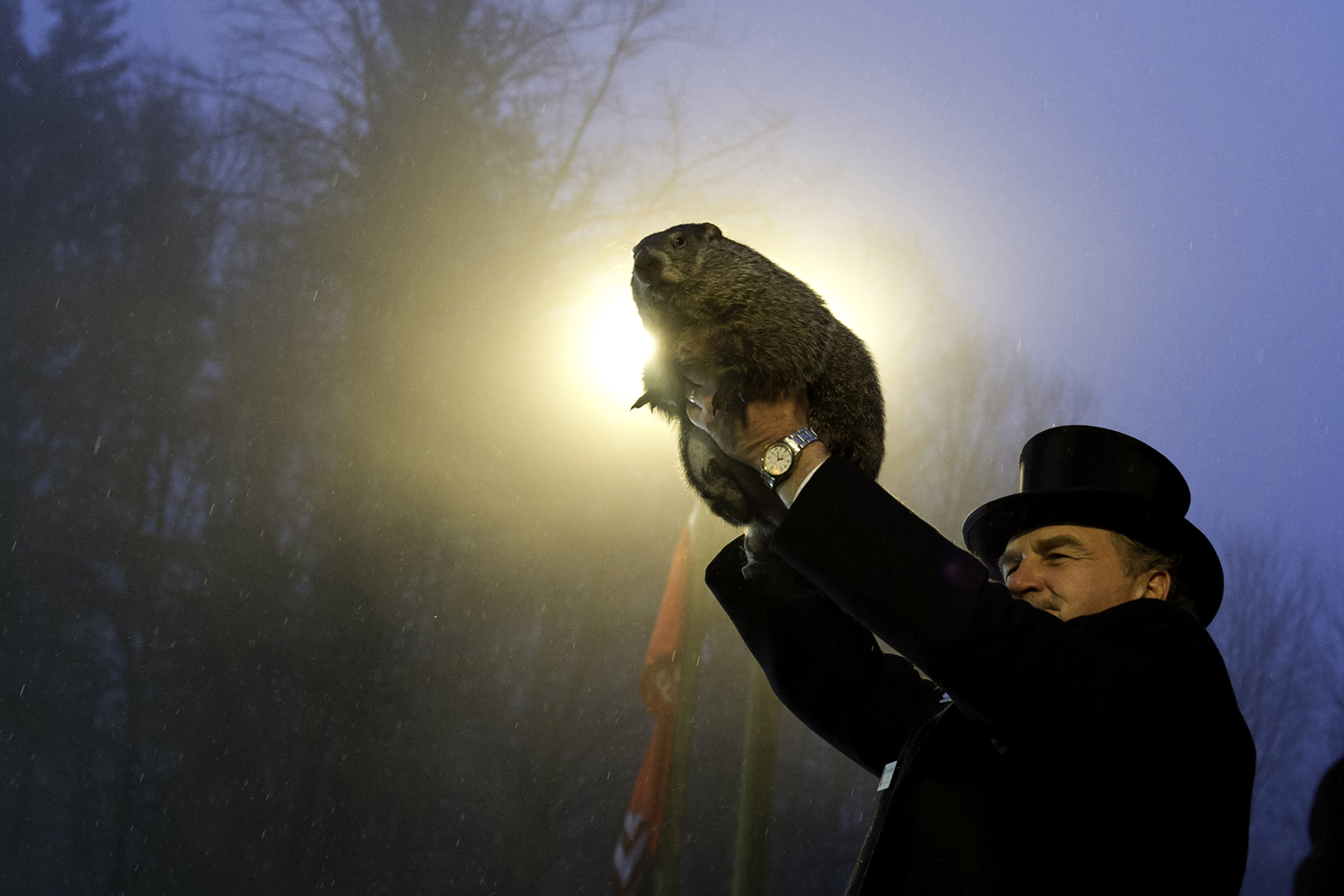 Feb. 2, 2014. Groundhog handler John Griffiths holds Punxsutawney Phil after he saw his shadow predicting six more weeks of winter during 128th annual Groundhog Day festivities in Punxsutawney, Pa.
