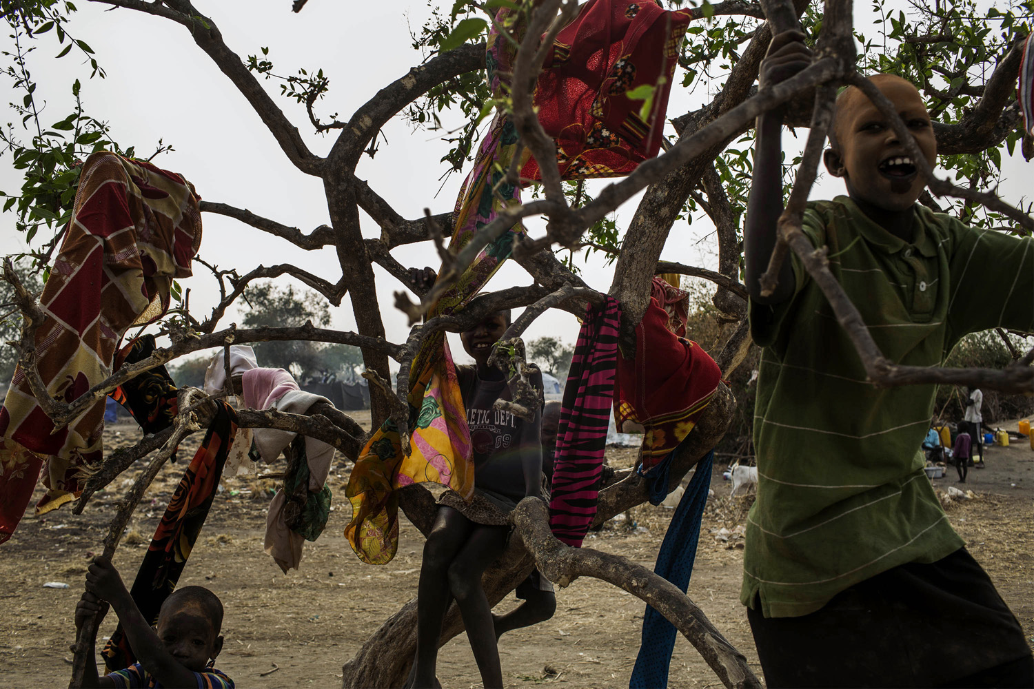 Feb. 7, 2014. Children play in a tree in the temporary camp of South Sudanese Internally Displaced People (IDP's) in Mingkaman.