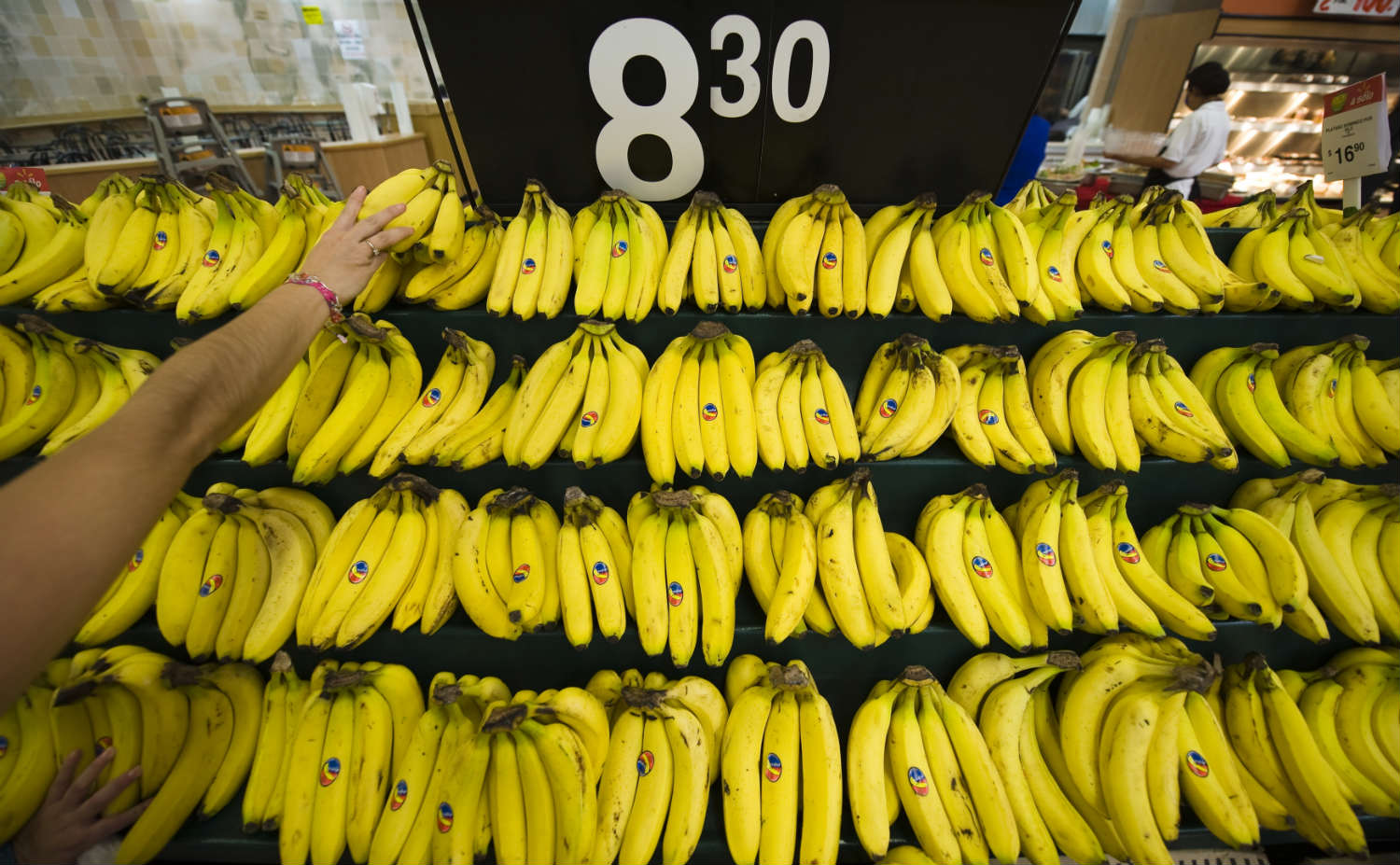 Bananas are increasingly popular around the world, but they're vulnerable to a new disease (Ronaldo Schemidt—AFP/Getty Images)