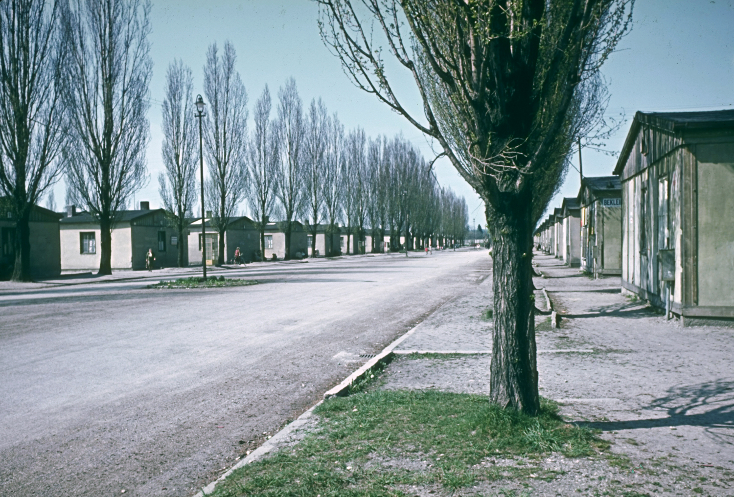 Dachau 1950.