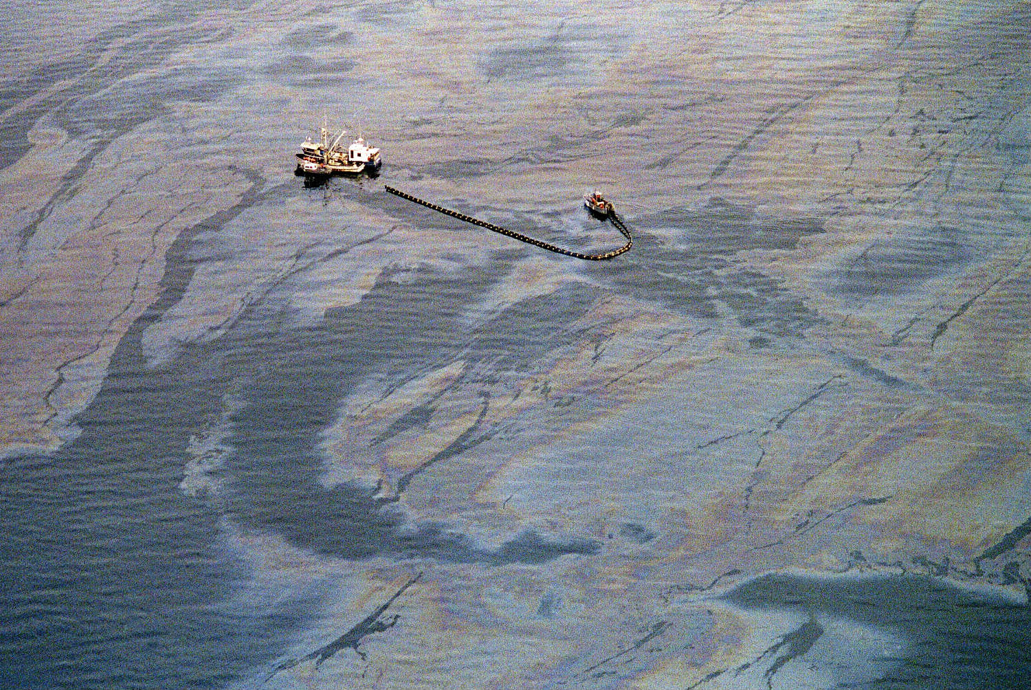 Exxon Valdez oil spill cleanup