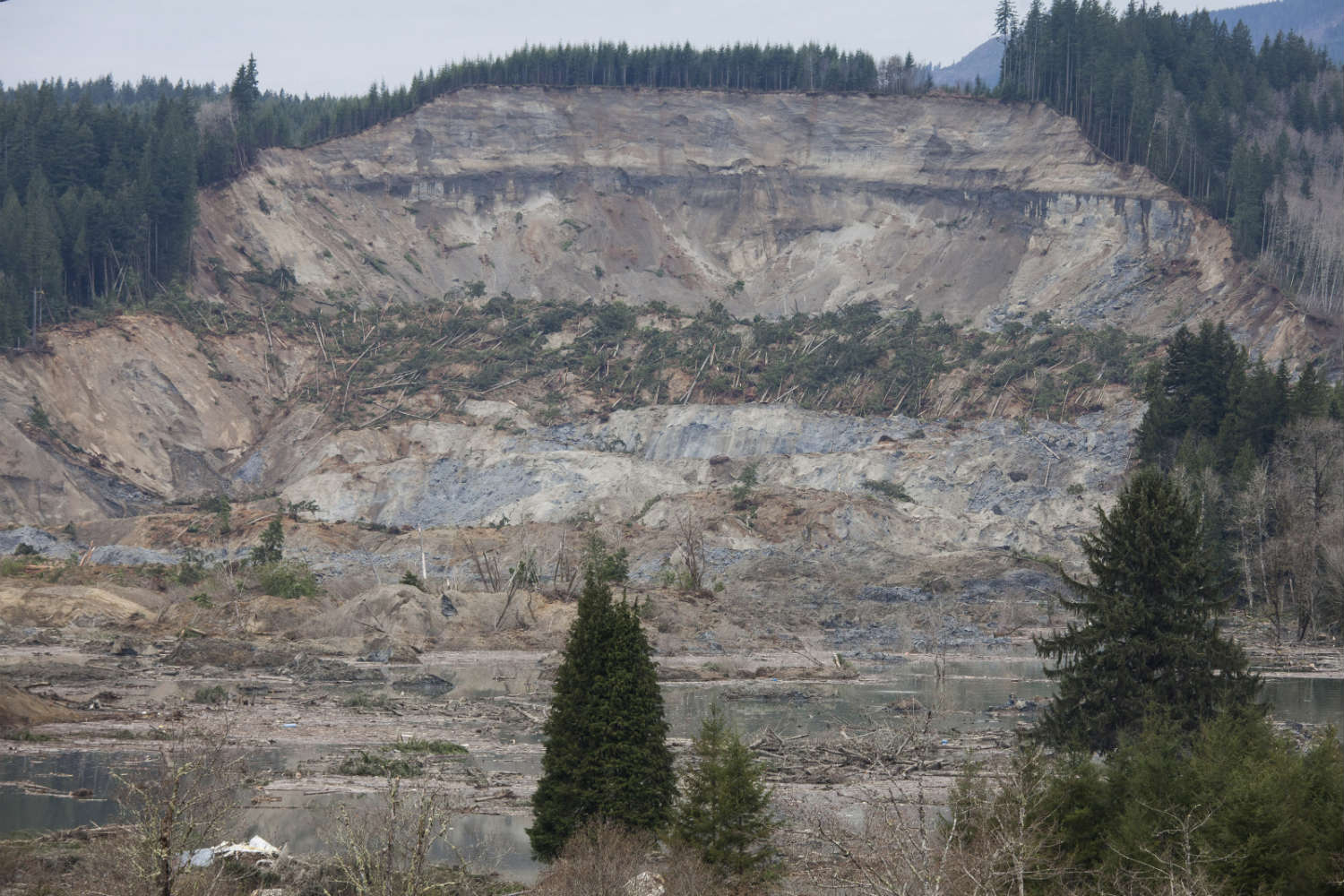 A massive landslide near Oso, Washington killed at least 16 people, with far more still missing (Photo by David Ryder/Getty Images)