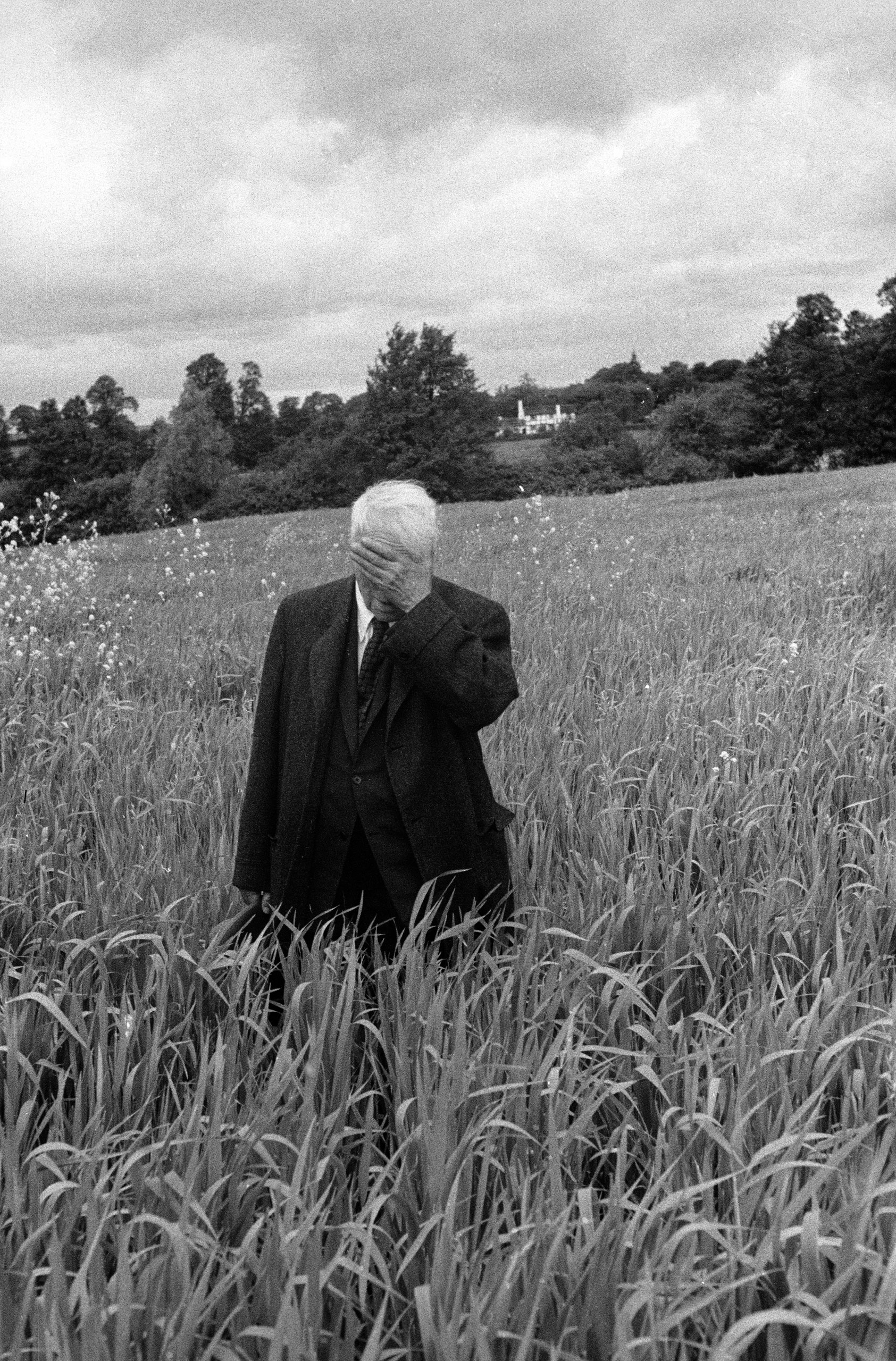 In an English field where 'Surging, the grasses dizzied me of thought' (from 'My Butterfly'), Mr. Frost recalls another day.