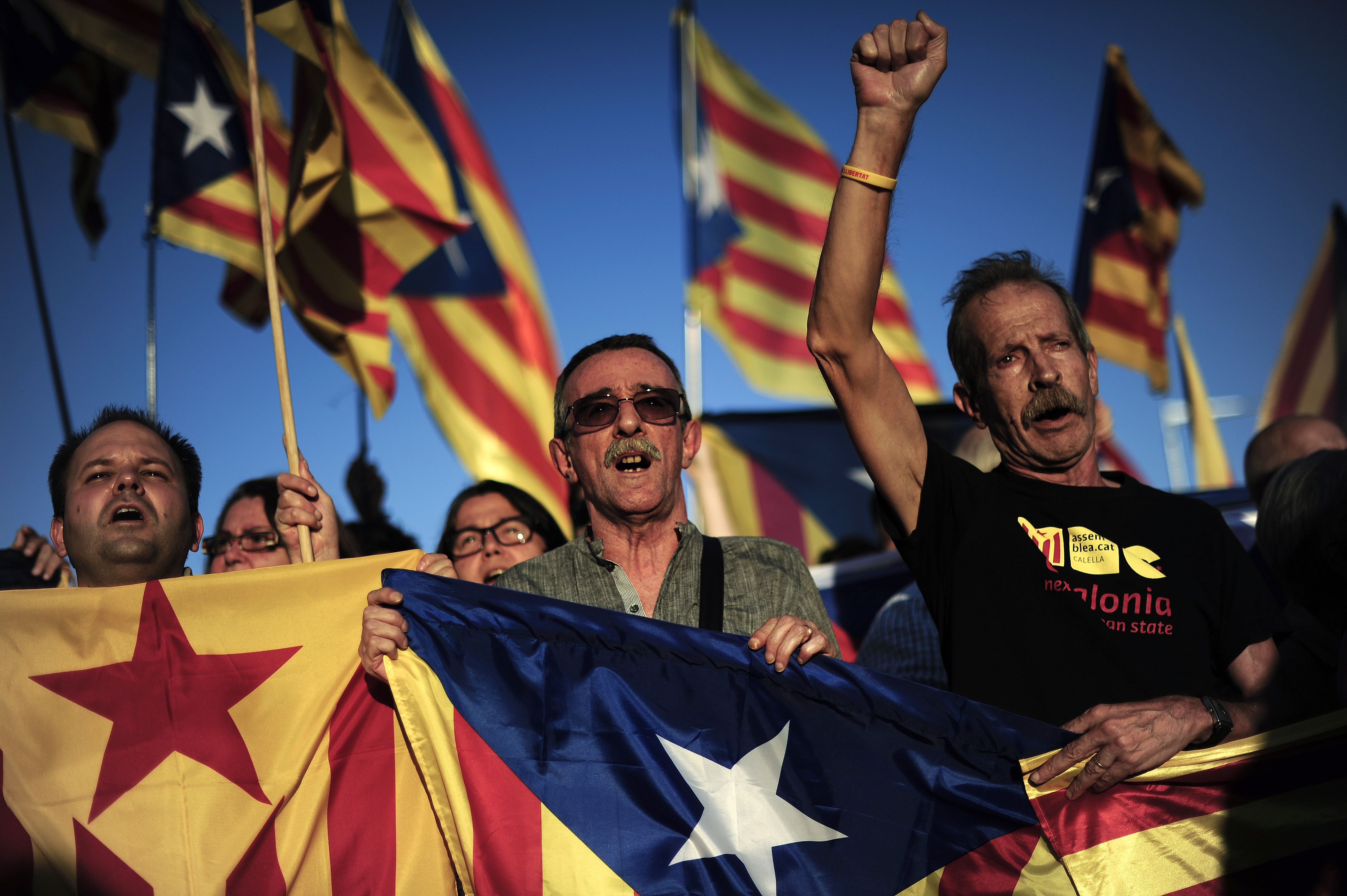 Demonstratorshold Catalan flags during a protest calling for independence from Spain in Barcelona,  October 2013. (JOSEP LAGO&mdash;AFP/Getty Images)