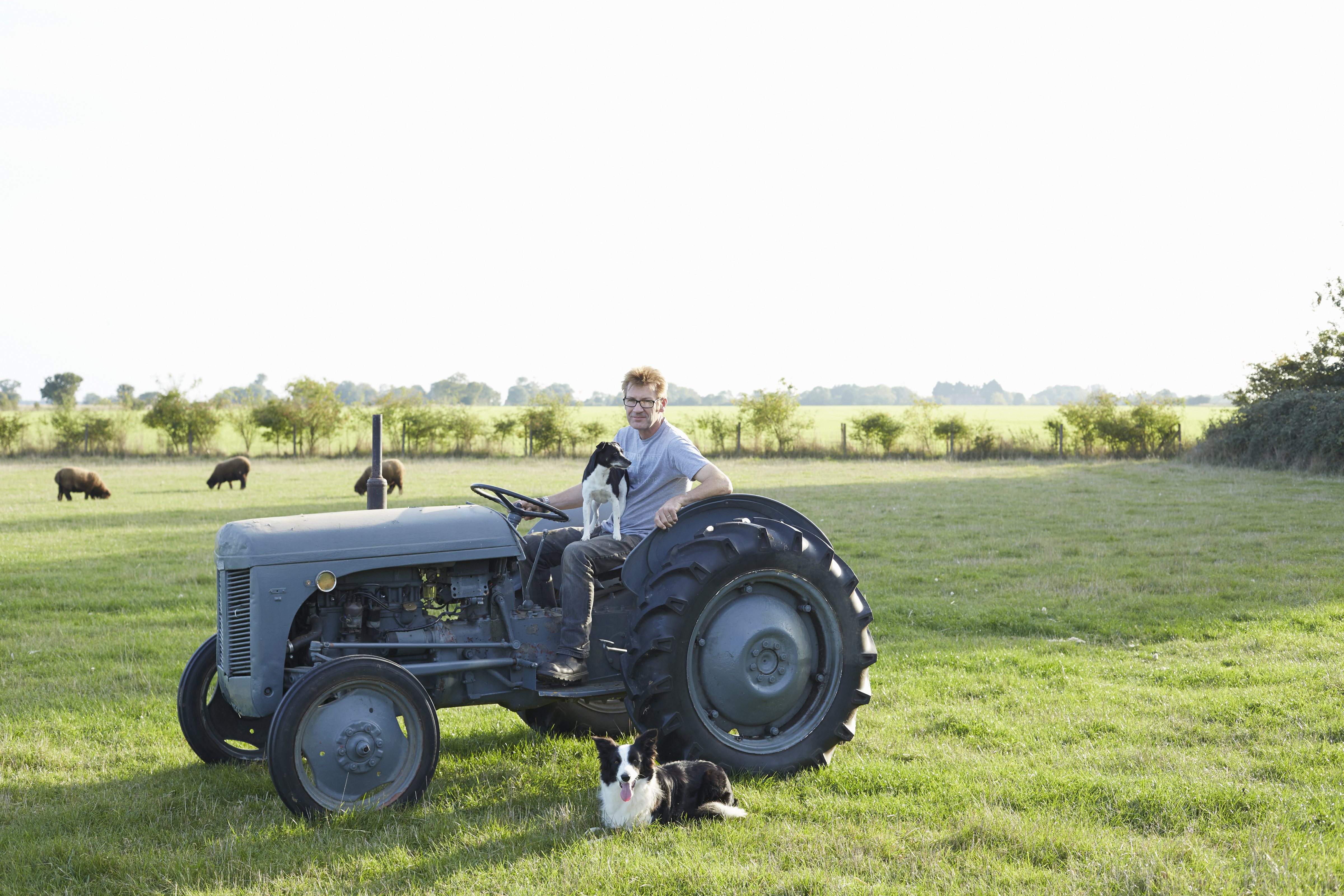 Smallholder on his farm with his dogs