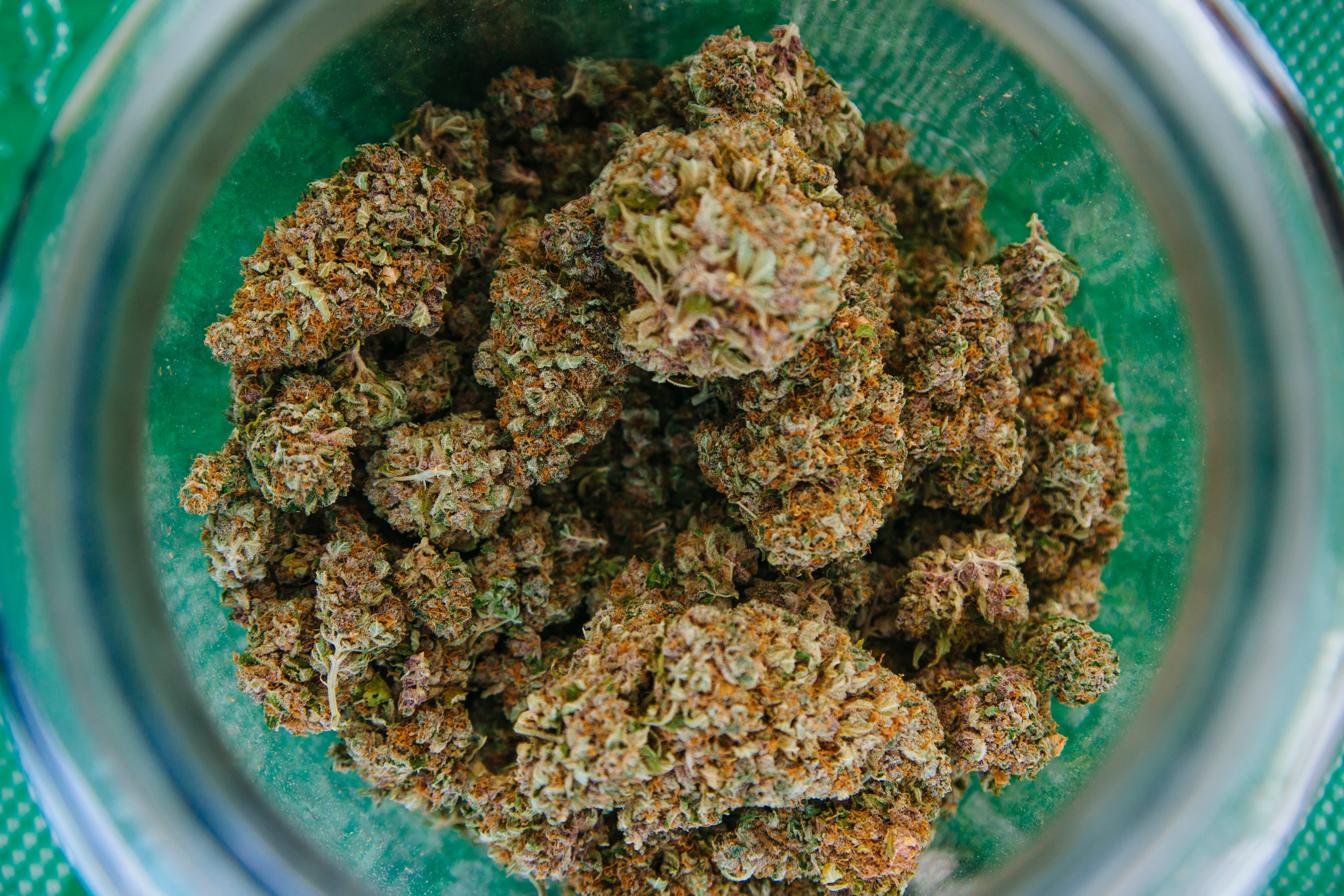 A large jar full of cannabis sits on display at the Buenas Ondas Collective, a San Diego medical marijuana delivery service, at the 2014 Cannabis Cup. (Washington Post/Getty Images)