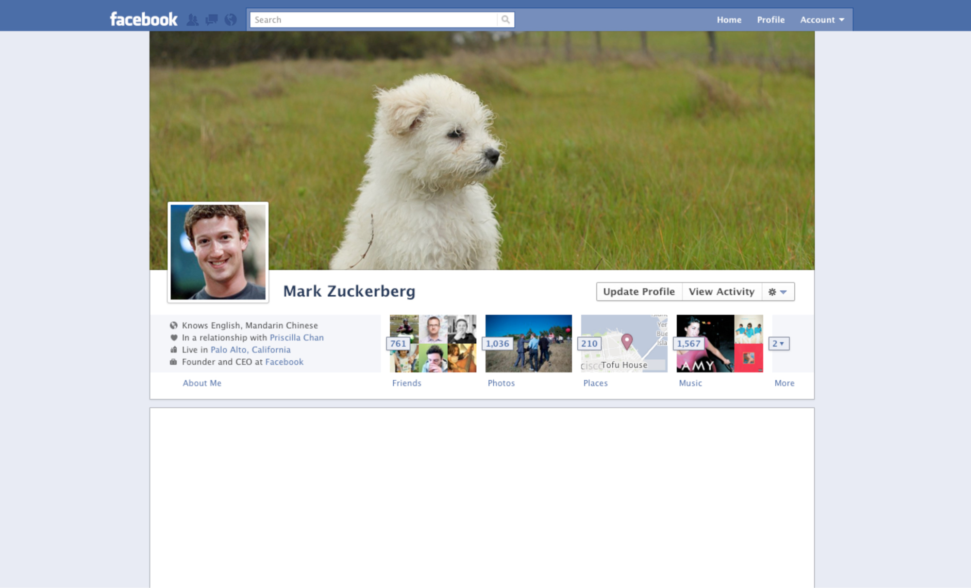 Facebook Profile Page, 2011.