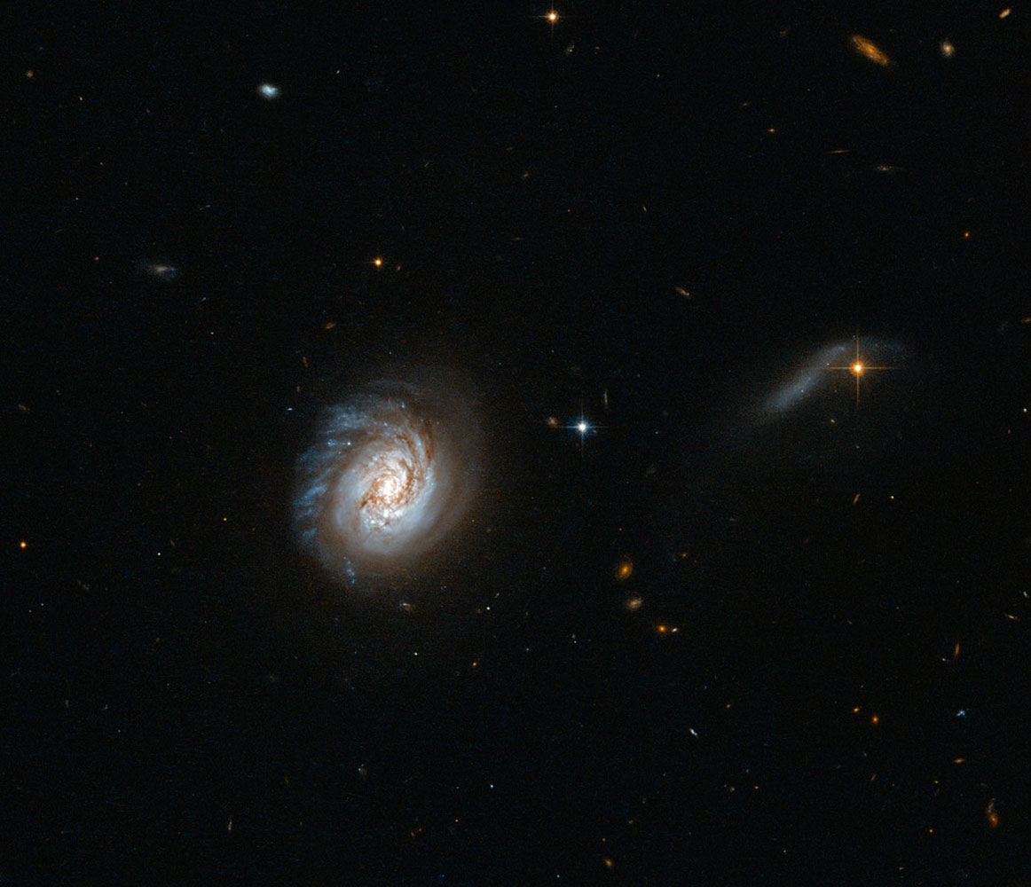 A Hubble Space Telescope image of a galaxy known as MCG-03-04-014, released on Feb. 25, 2014. The galaxy belongs to a class of galaxies called luminous infrared galaxies, which are incredibly bright in the infrared part of the spectrum. The luminosity is due to a recent burst of star formation or a fiercely powerful 'monster' black hole lurking at their core, or a mix of the two.