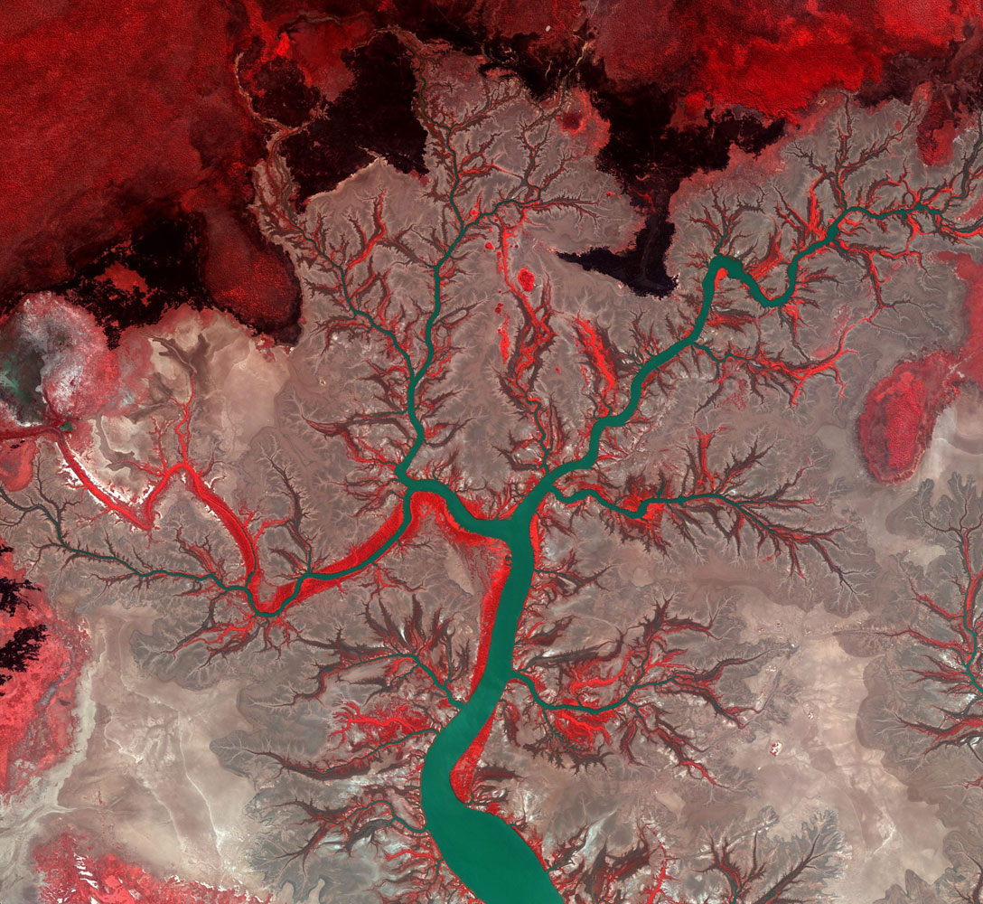 A Kompsat-two satellite image released for the first time on Feb. 25, 2014 shows Kumbunbur Creek in Northern Territory, Australia, on Sept. 20, 2011. The green branches of what looks like a tree are the waterways of runoff that flow into the Timor Sea. The false-color makes vegetation appear bright red.