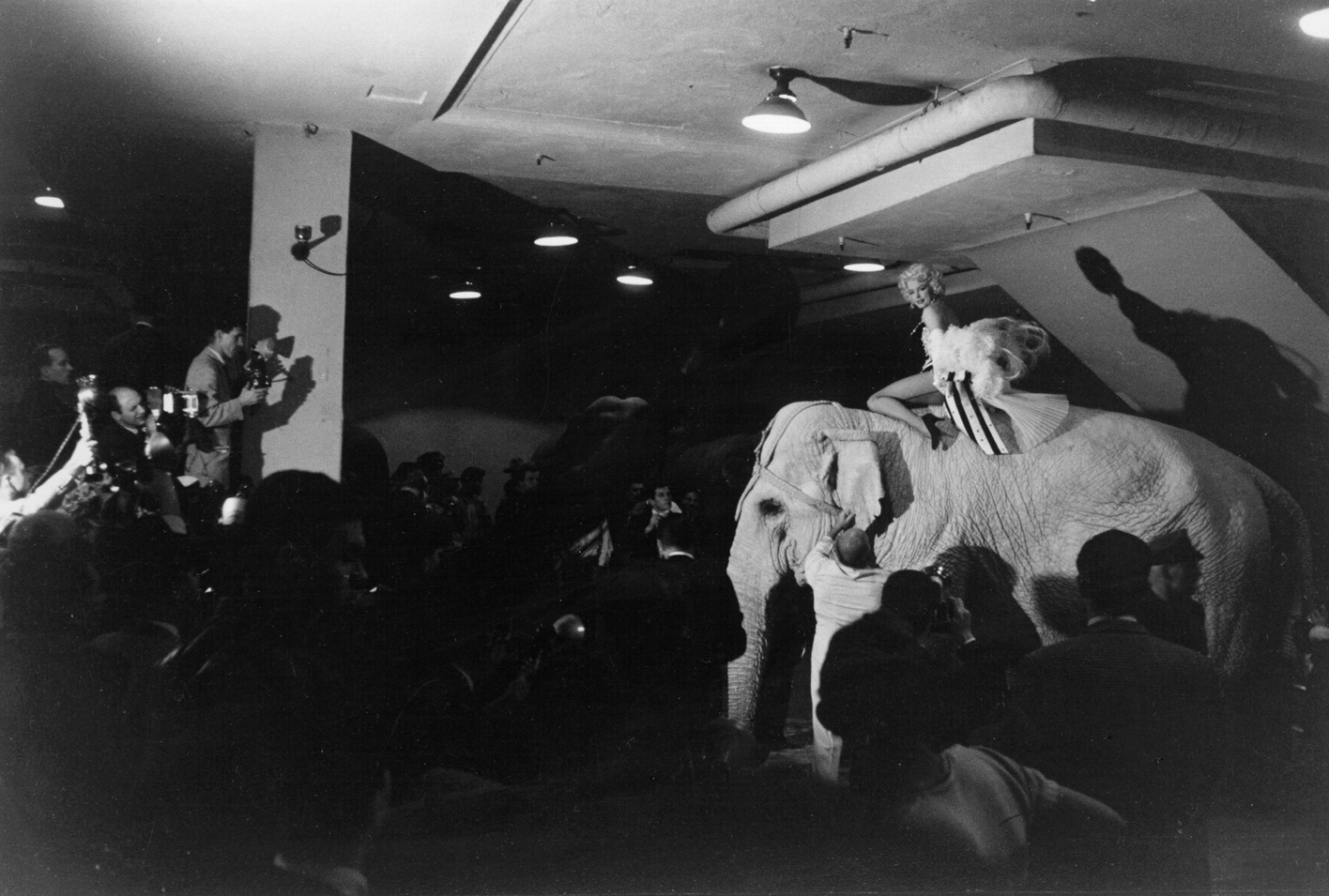 Monroe rides a pink elephant in Madison Square Garden for a circus charity event as she is surrounded by photographers in March 1955 in New York City.