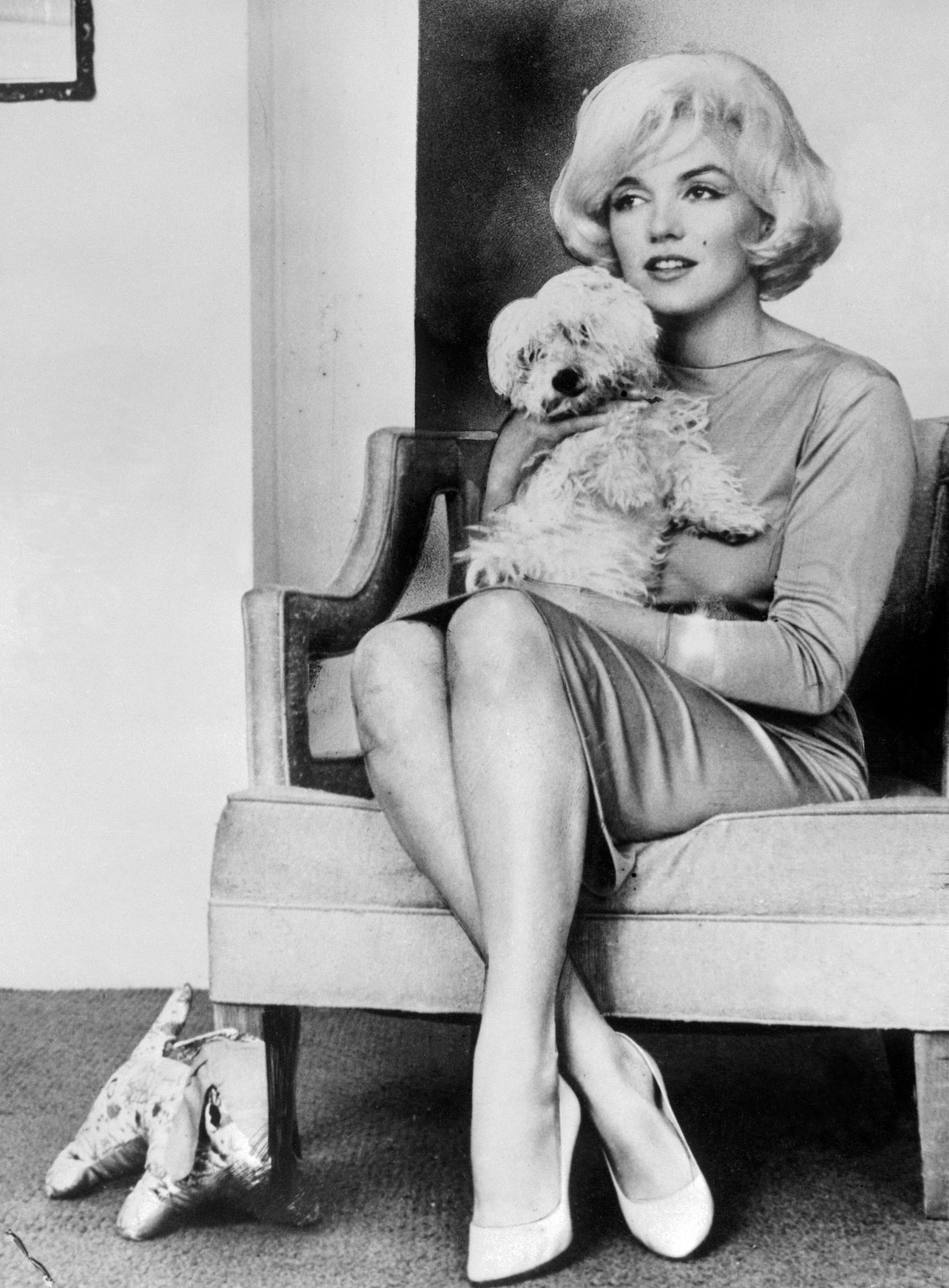 Marilyn Monroe is shown with her small white dog, Maf.