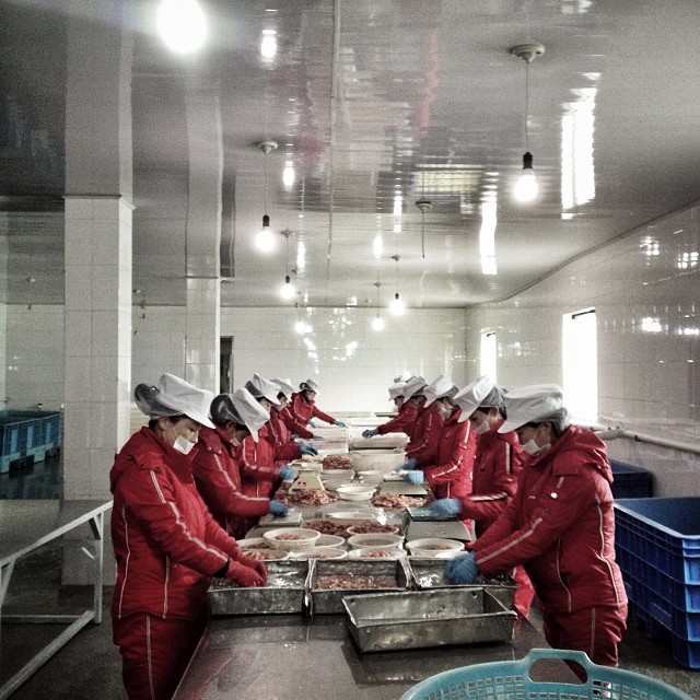 North Korean workers sort seafood at a factory in Rajin, December 3, 2013.