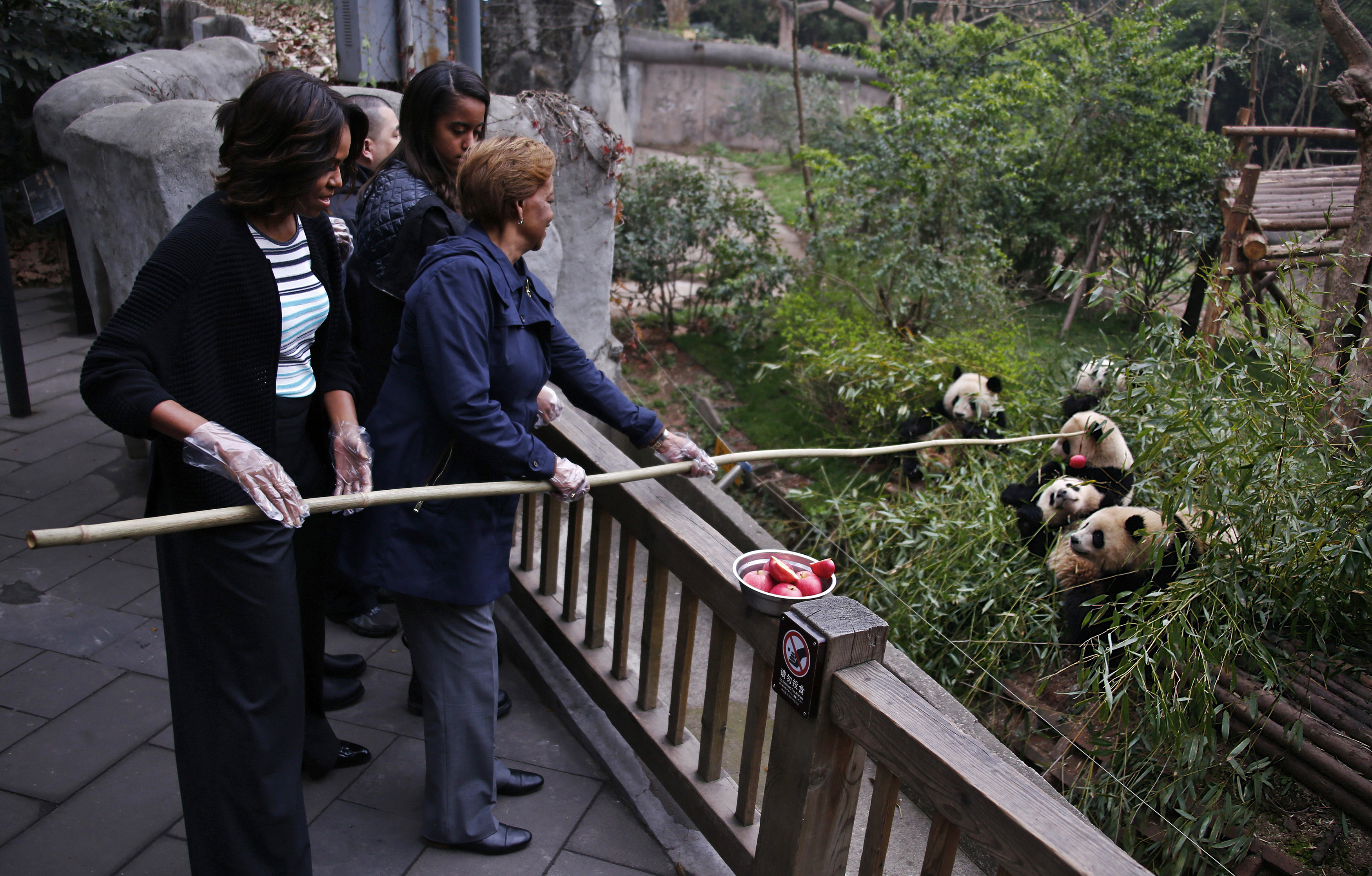 U.S. first lady Michelle Obama and her mother Marian Robinson feed apple to giant pandas as they visit Giant Panda Research Base in Chengdu