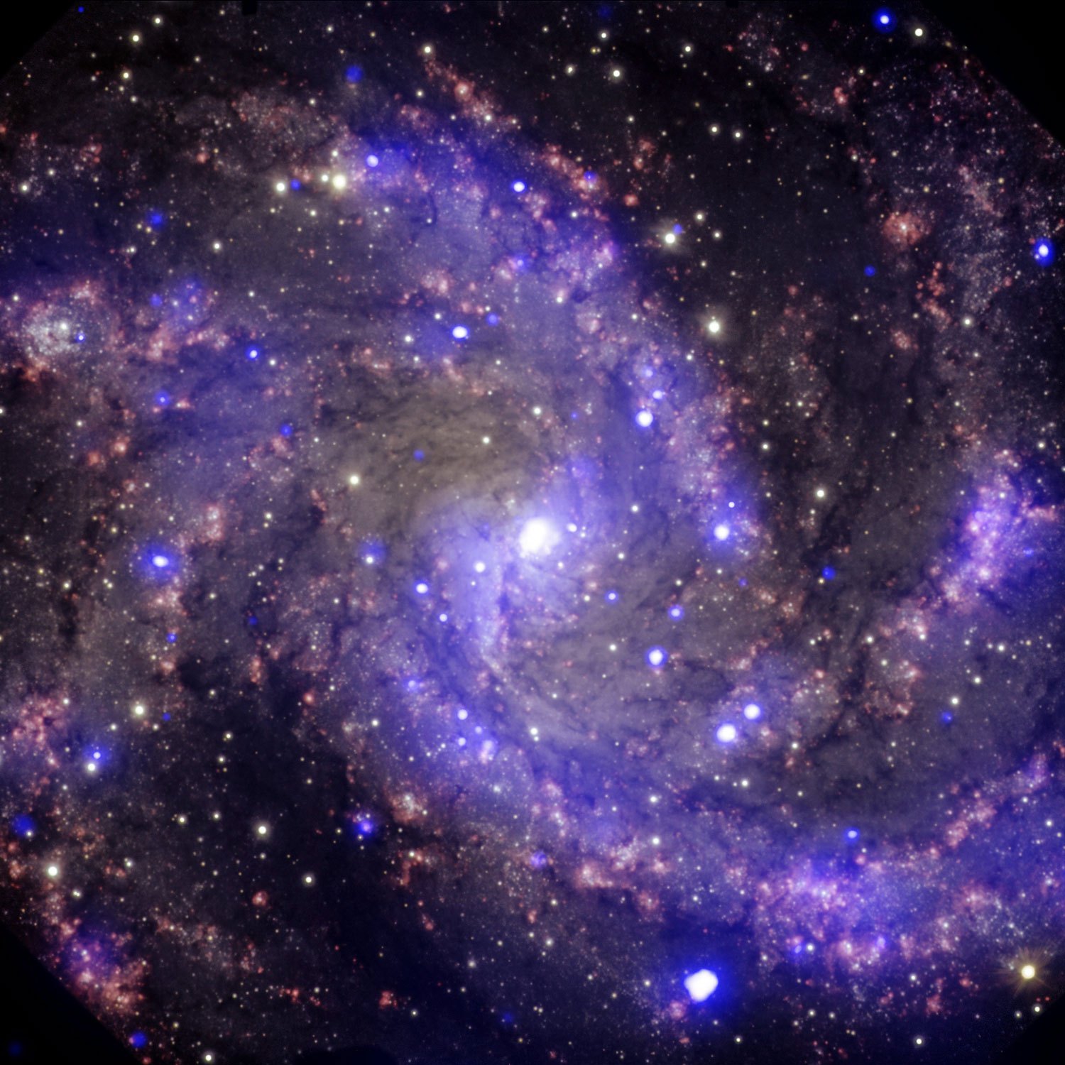 The NGC 6946 medium-sized, face-on spiral galaxy which is about 22 million light years away from Earth, as seen on Nov. 8, 2013. In the past century, eight supernovas have been observed to explode in the arms of NGC 6946. The galaxy's less technical—more memorable—name? The Fireworks Galaxy.