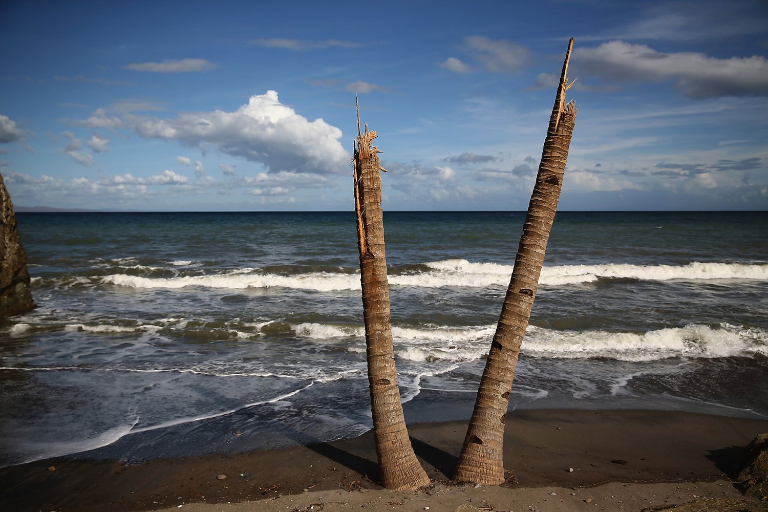 Two broken palm trees stand snapped in half on the beach near Tanauan, on November 19, 2013 in Leyte, Philippines.