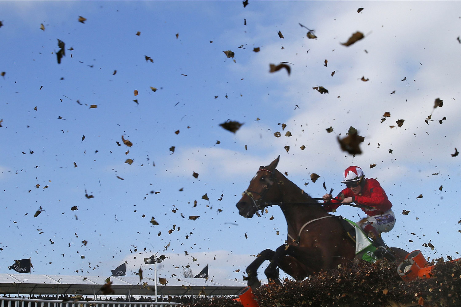 Sam Twiston-Davies on The New One jumps the final fence of the Champion Hurdle Challenge Trophy in Gloucestershire