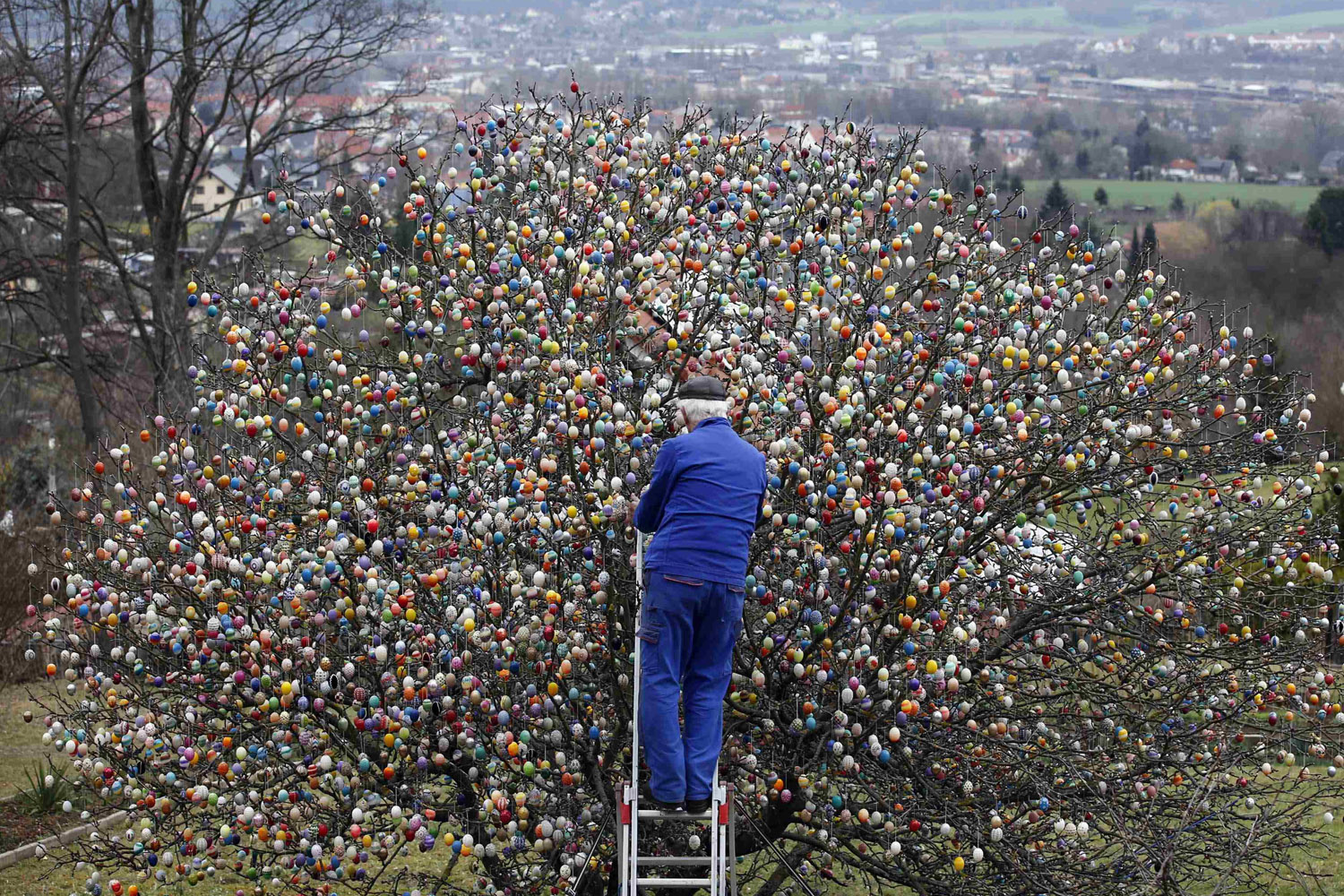 German pensioner Kraft decorates an apple tree with Easter eggs in the garden of his summerhouse in the eastern German town of Saalfeld